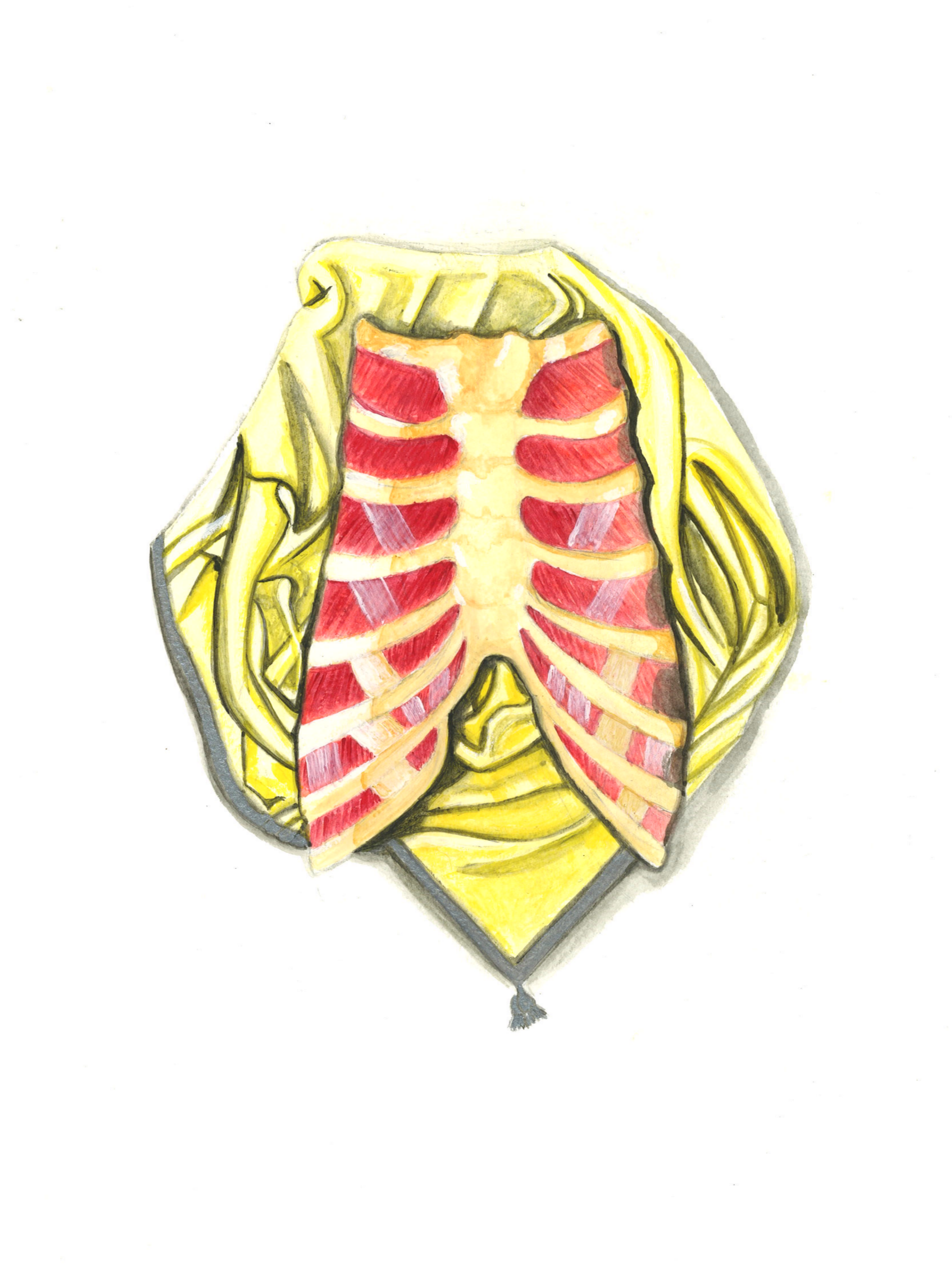 A watercolor illustration of a fish skeleton with red fins, laid over a yellow fabric backdrop.