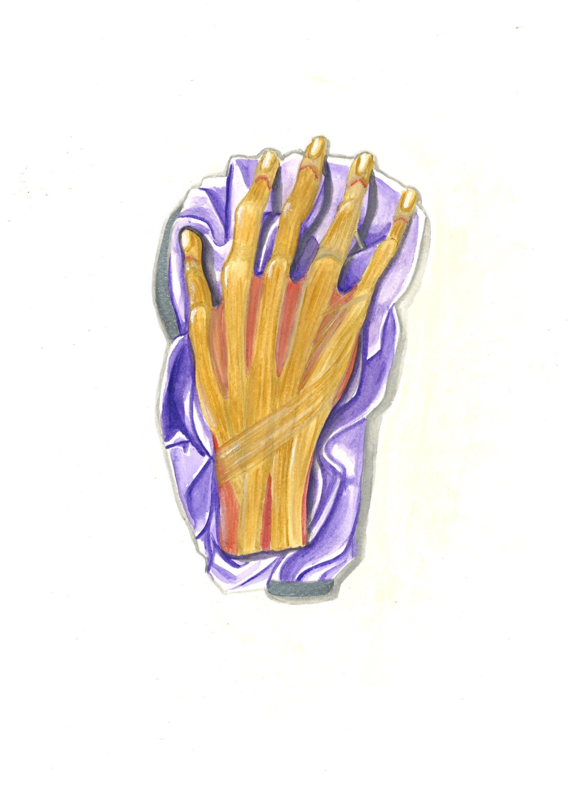 Hand Watercolour Enhanced Print A4
