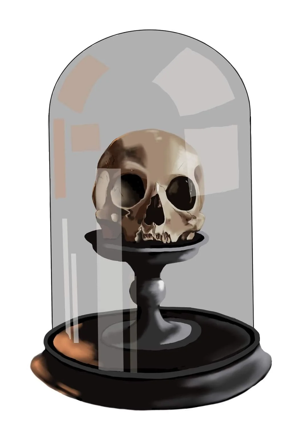 A decorative display of a human skull in a glass dome on a black stand.