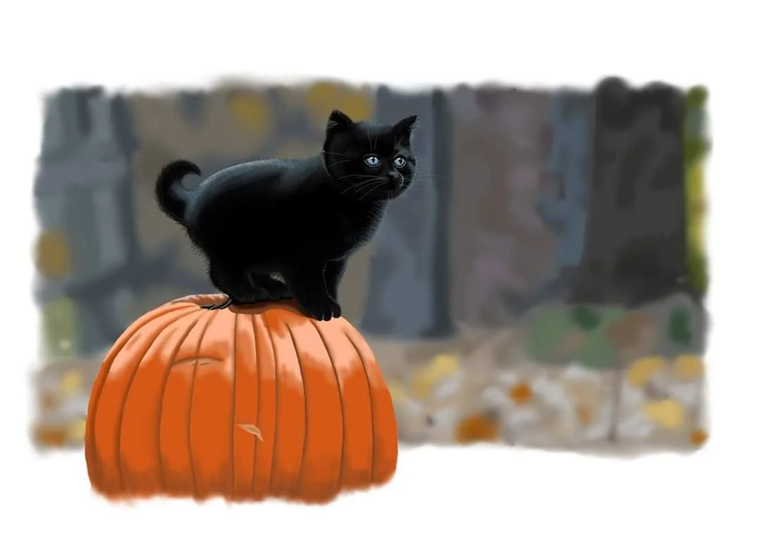 Black cat with blue eyes crouching on an orange pumpkin.