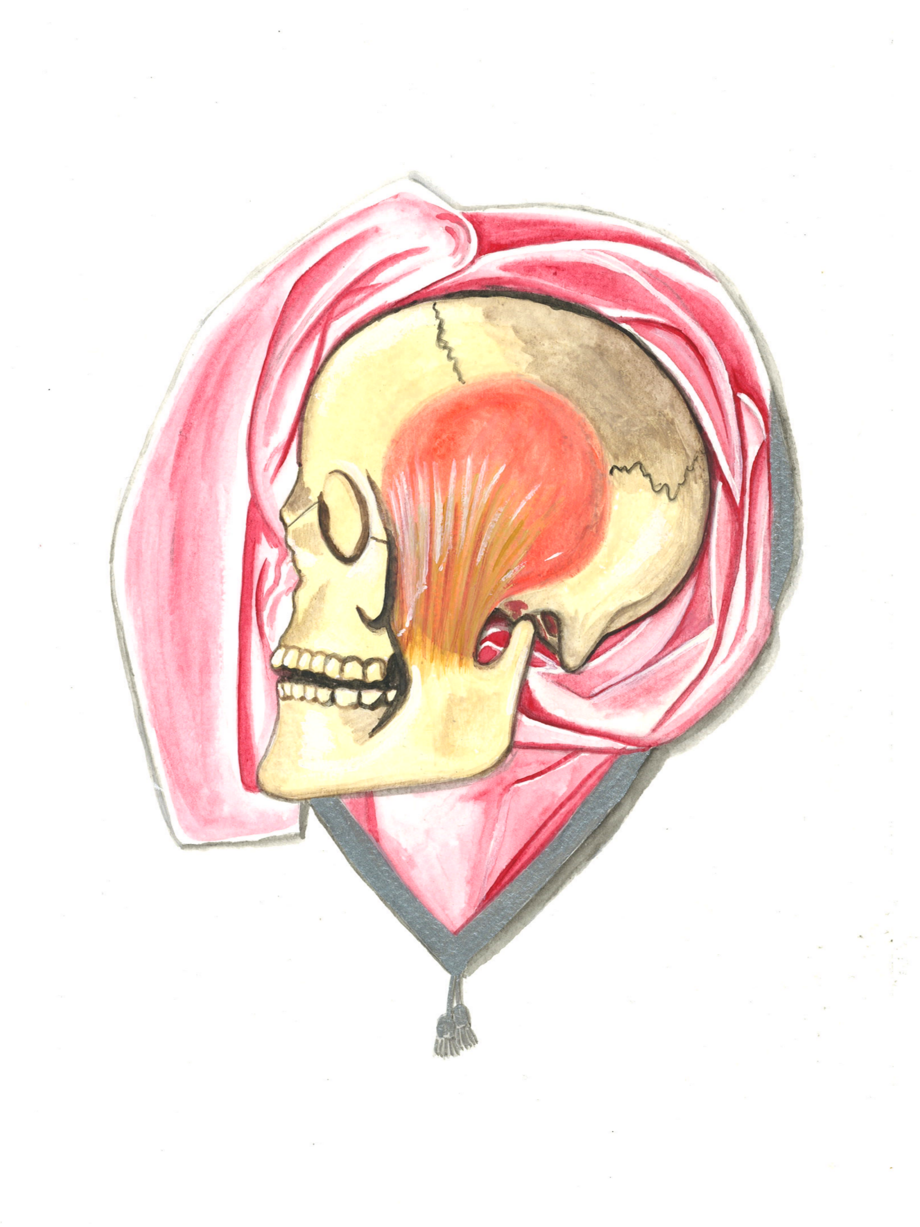 A watercolor illustration of a human skull with the top of the head removed, showing the brain and inner skull, with a pink and red background resembling a heart-shaped balloon.