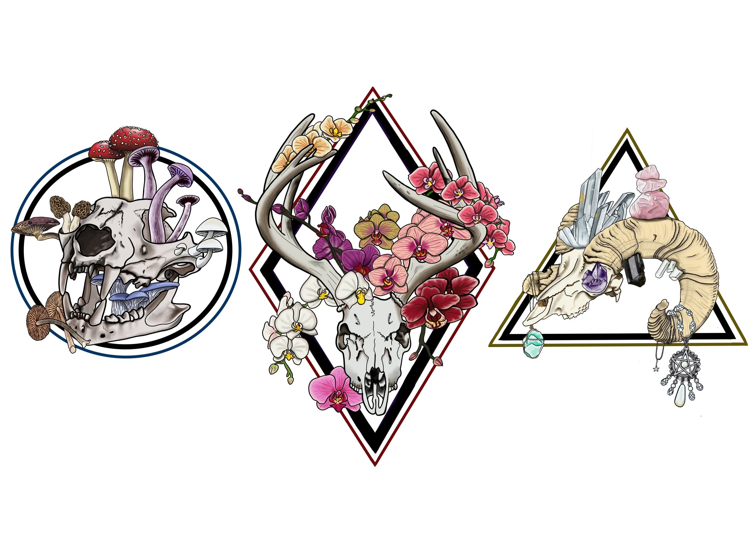 Three decorative illustrations of animal skulls with mushrooms, flowers, and gems, each within a different geometric shape.