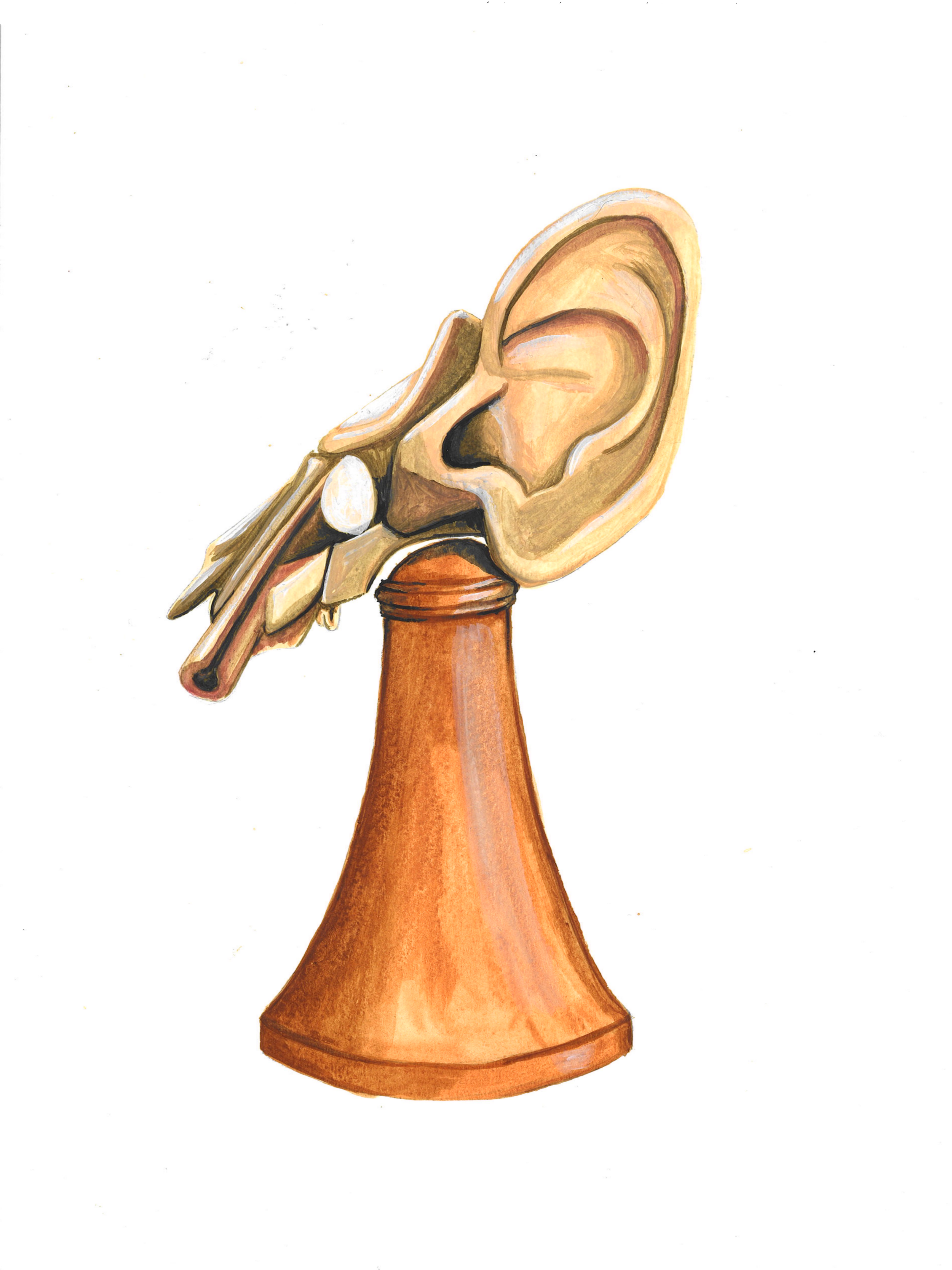 A painting of a human ear, with part of the jaw and skull, resting on a wooden stand.