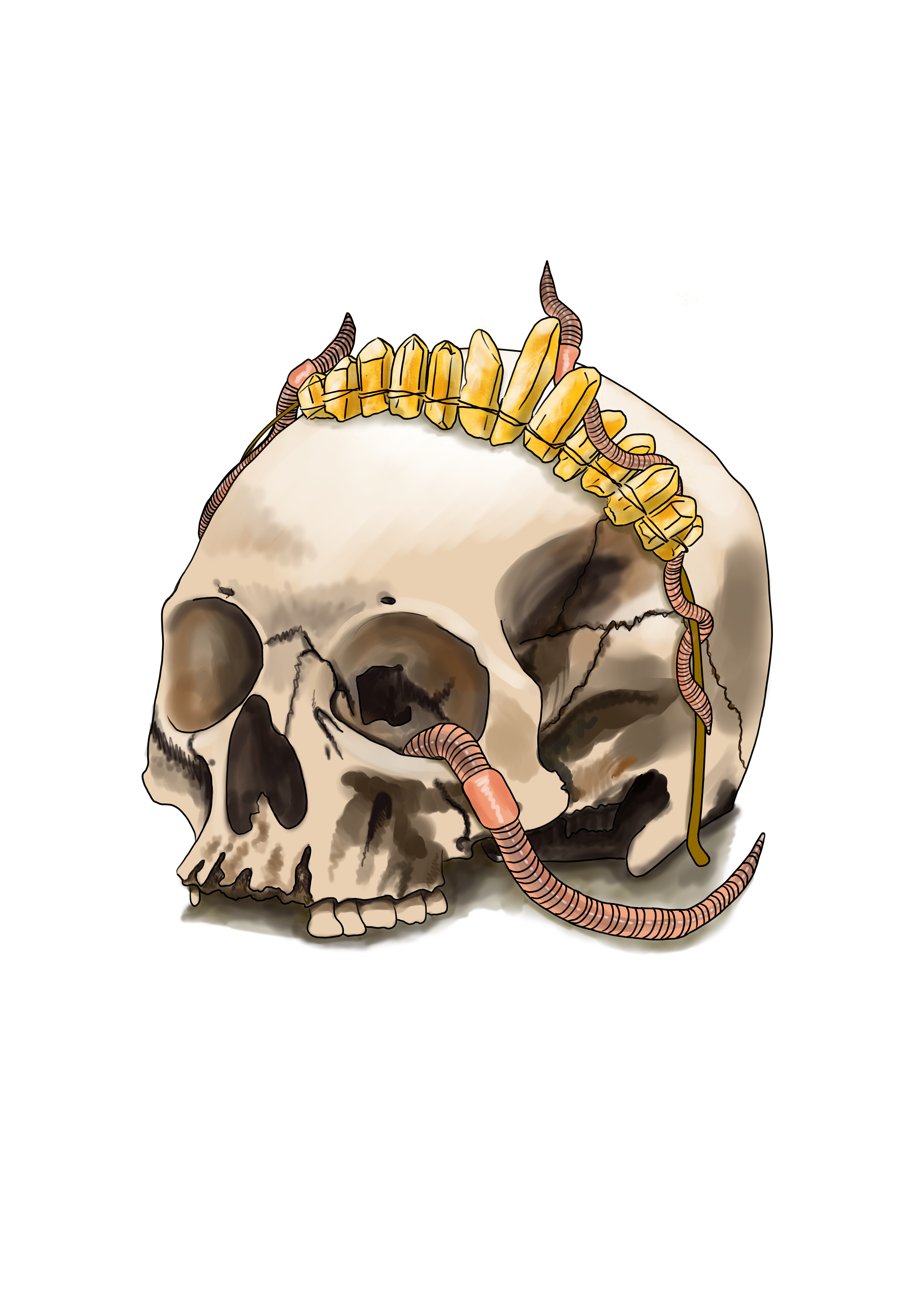 A human skull with worms crawling on and through it, and a band of gold teeth around the top.