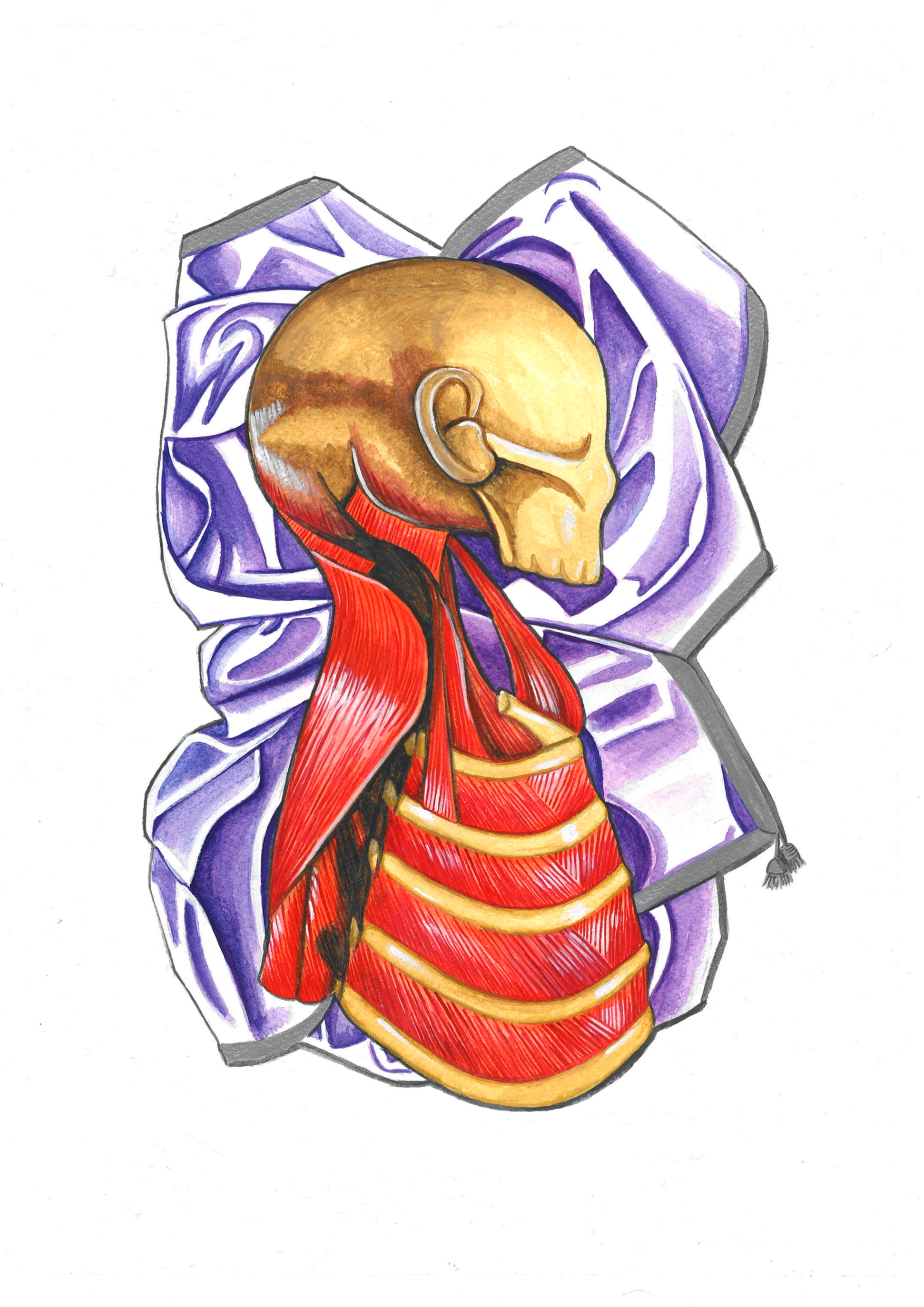 An anatomical illustration of a human skull and muscles in front of a purple flower background.