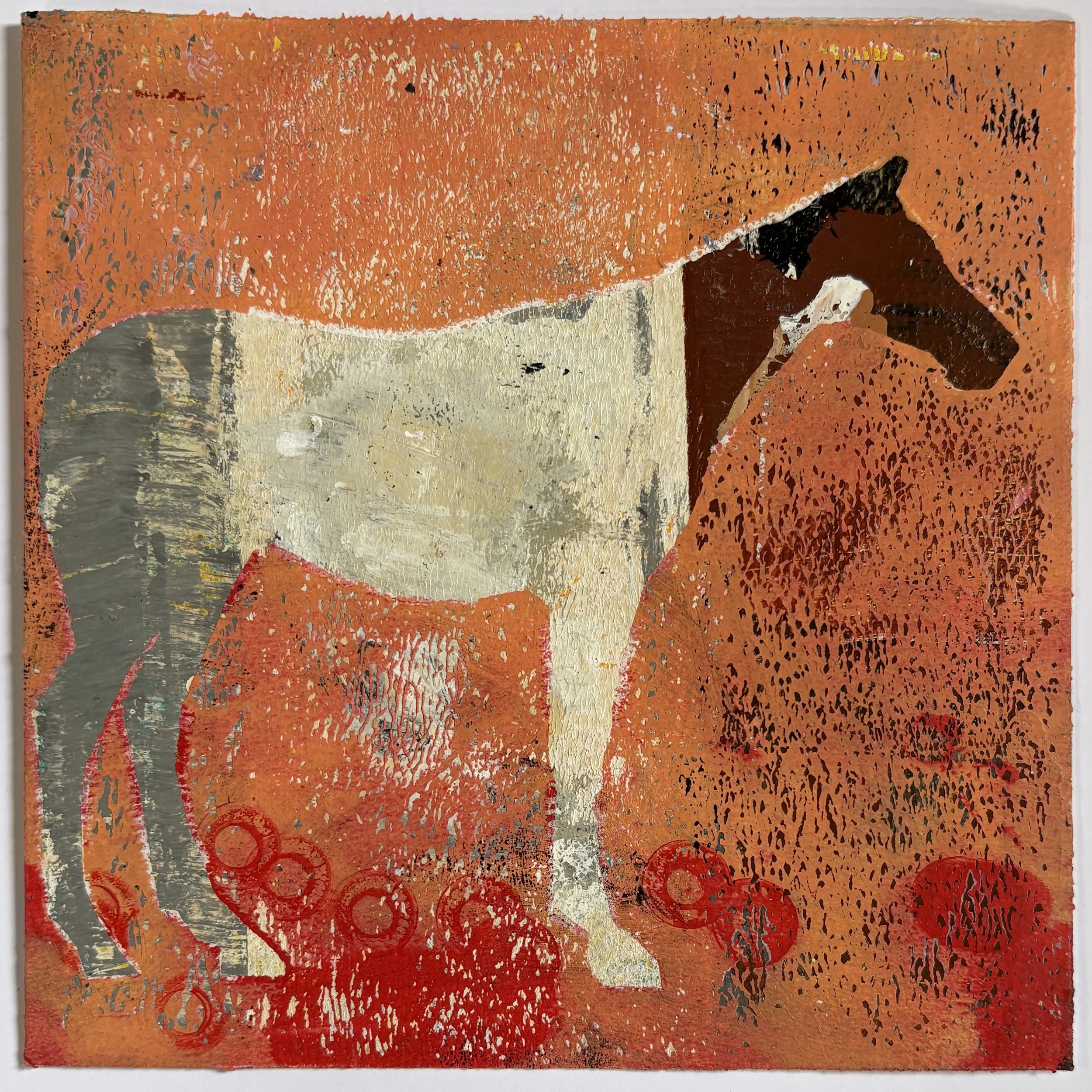 Silent Mask 6x6 .jpg