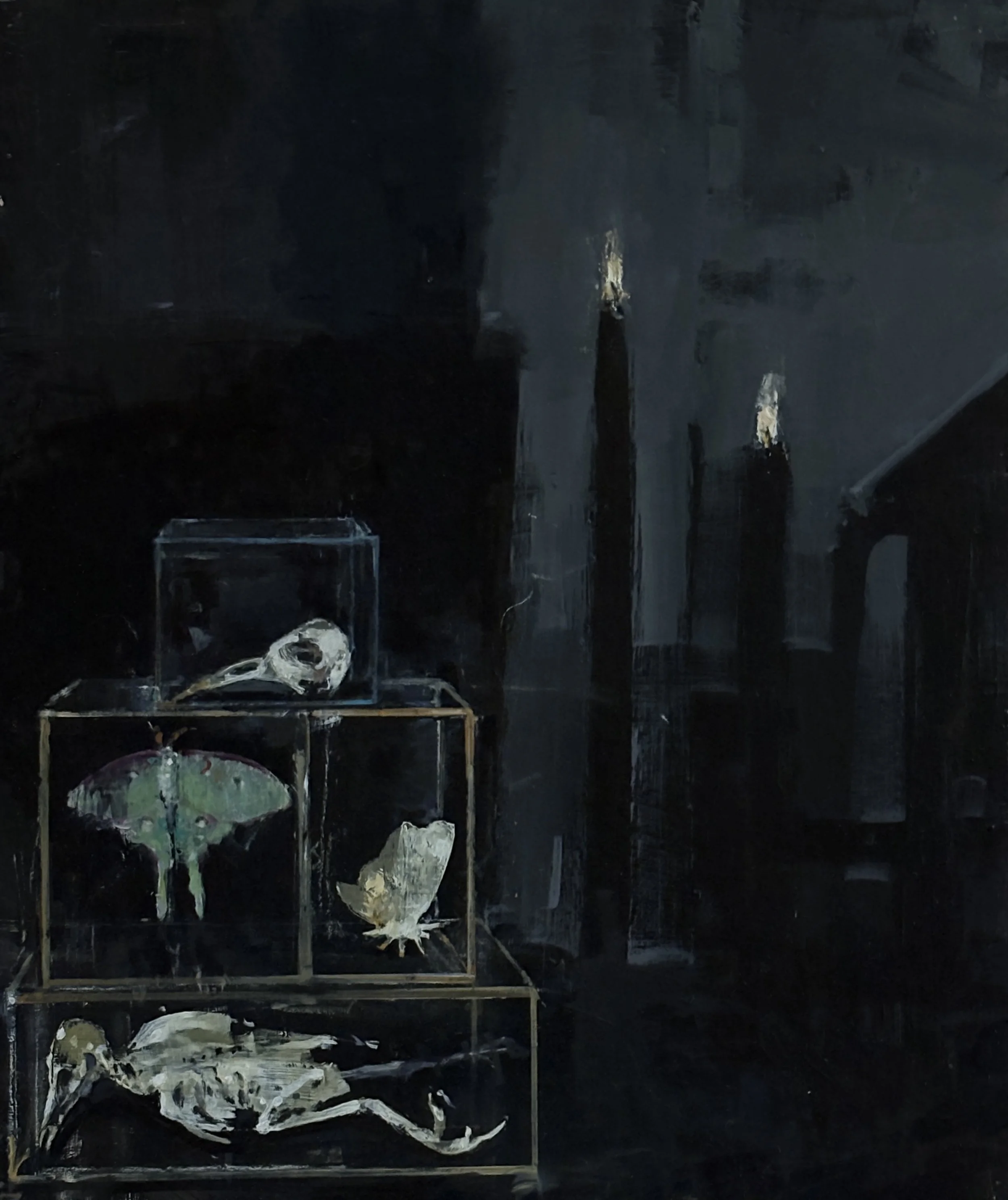 Moth #28 
24x20 Oil/Acrylic on Board