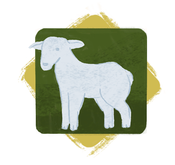 Catechesis of the Good Shepherd Info Meeting & Training