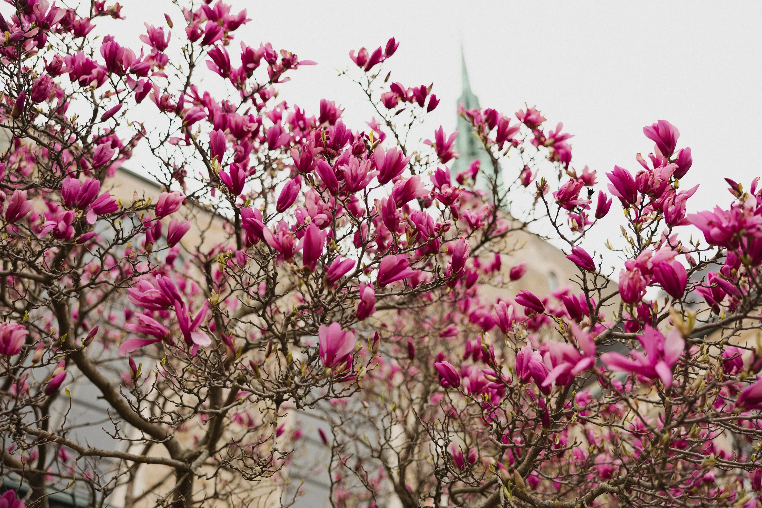 Trinity Easter 2026-11.jpg