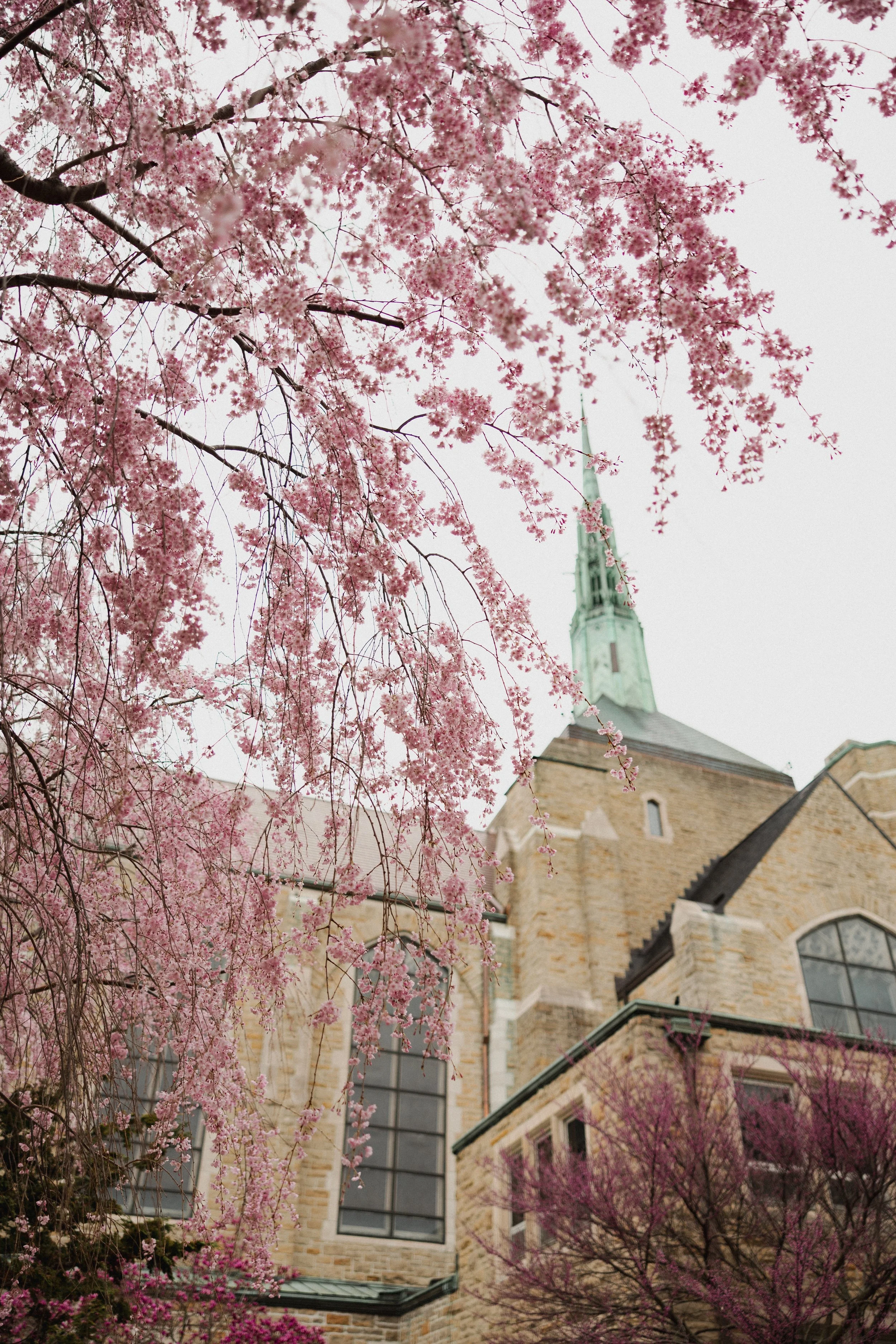 Trinity Easter 2026-8.jpg