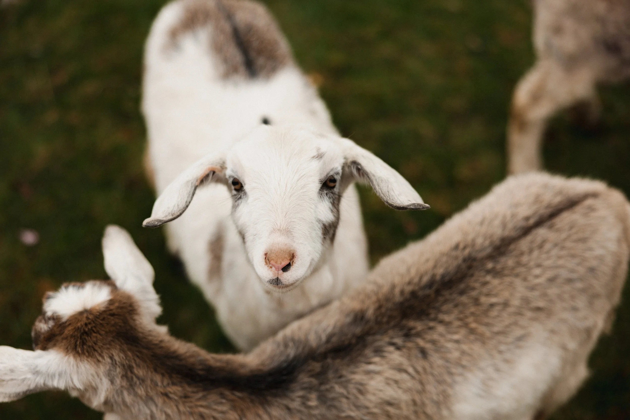 Trinity Easter 2026-30.jpg