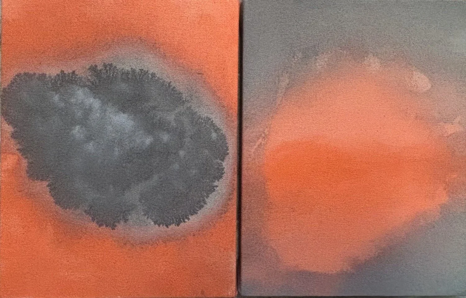 Nosotros ( Us ) Julia CASIMIRA Sacasa | 8 x 14 diptych ( canvas is 8 x 7 )