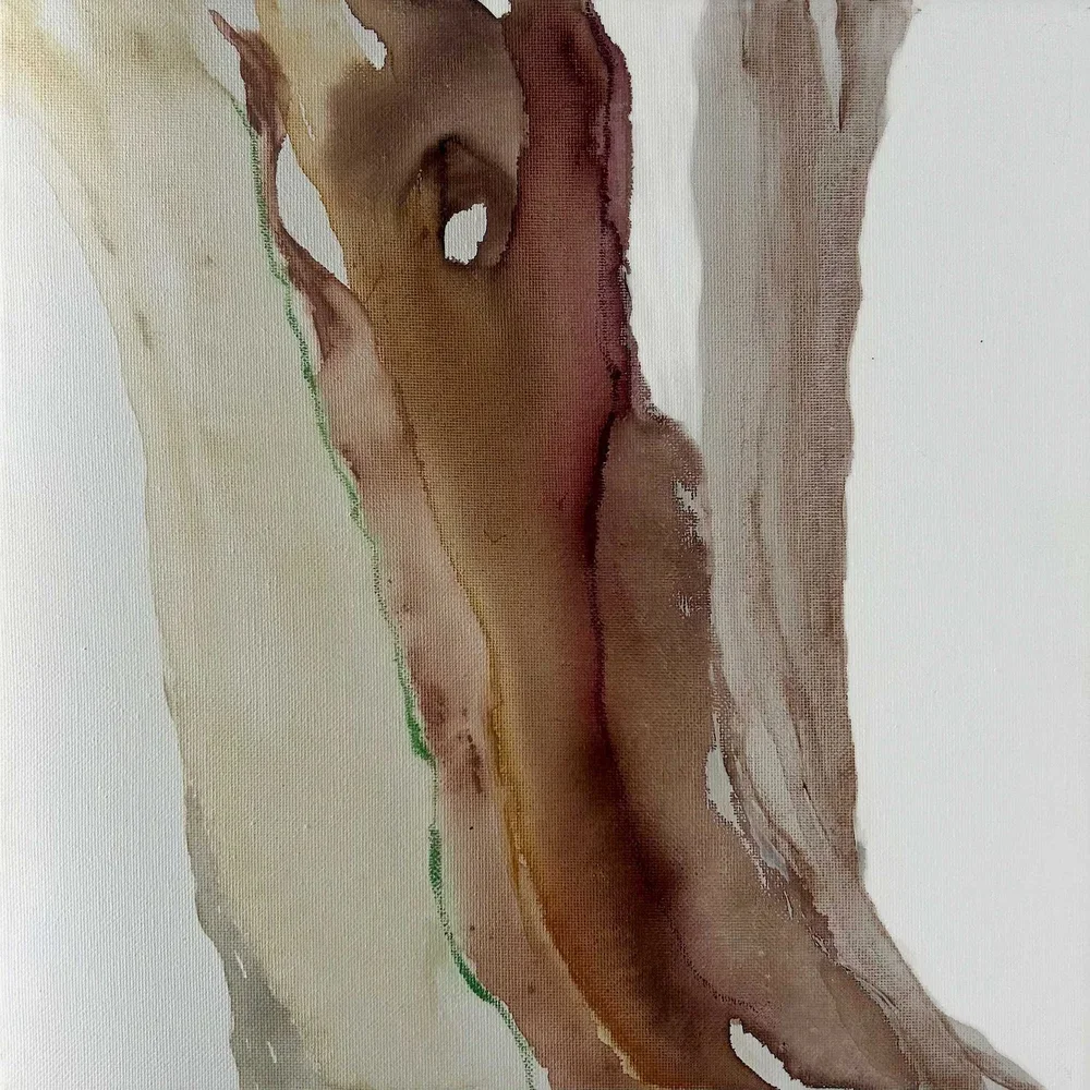 Cypress | Heather O'Donovan | 13.75 x 13.75 | $250