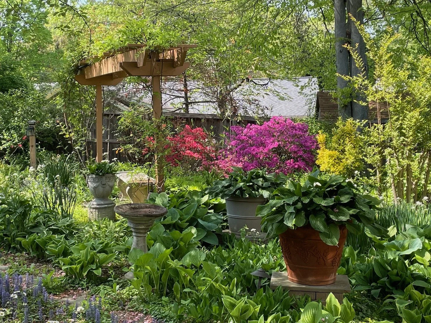 Summer Garden | Mauricio Athie | 14 x 11 | $250