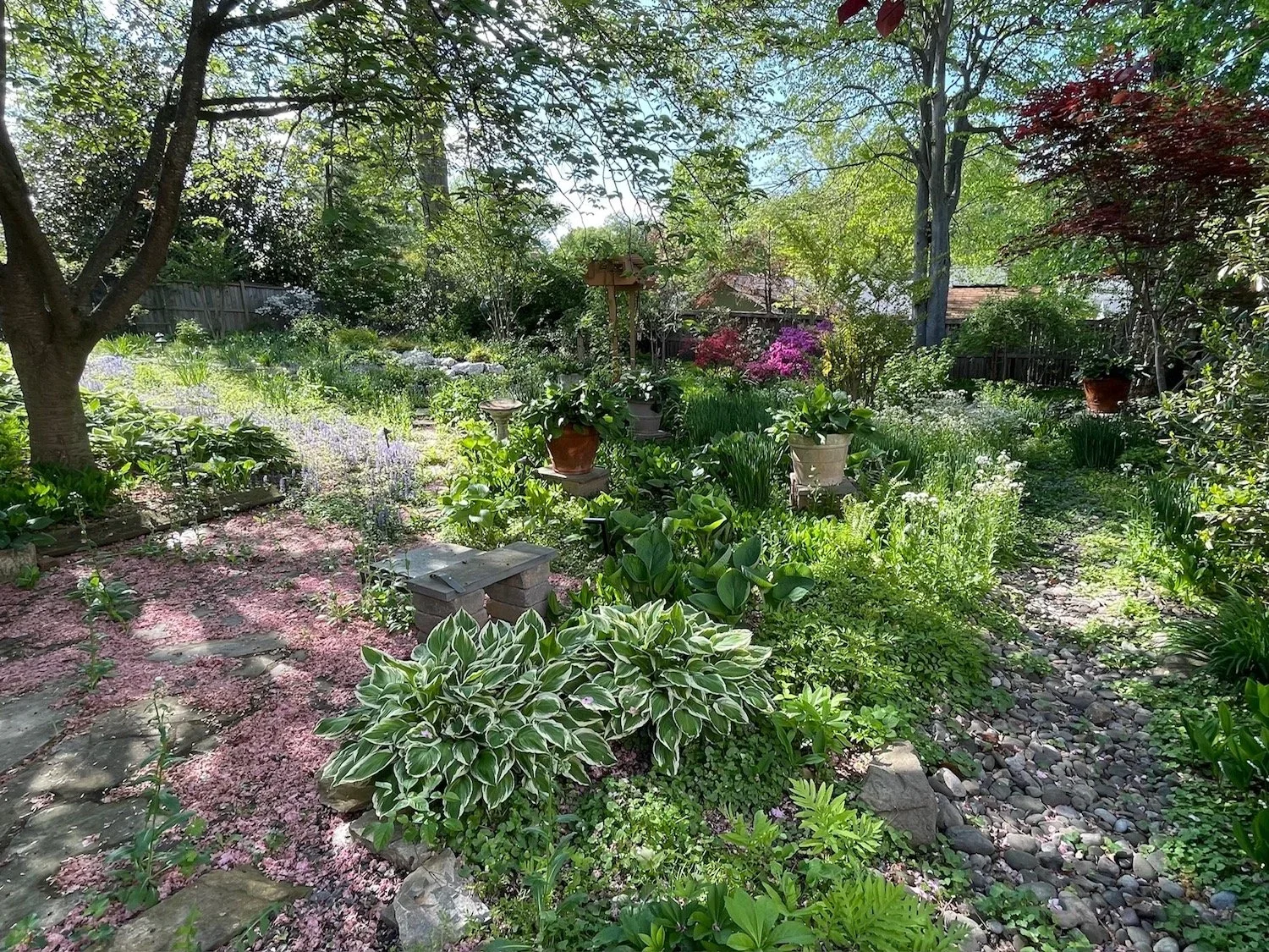 Summer Garden 3 | Mauricio Athie | 24 x 12 | $600