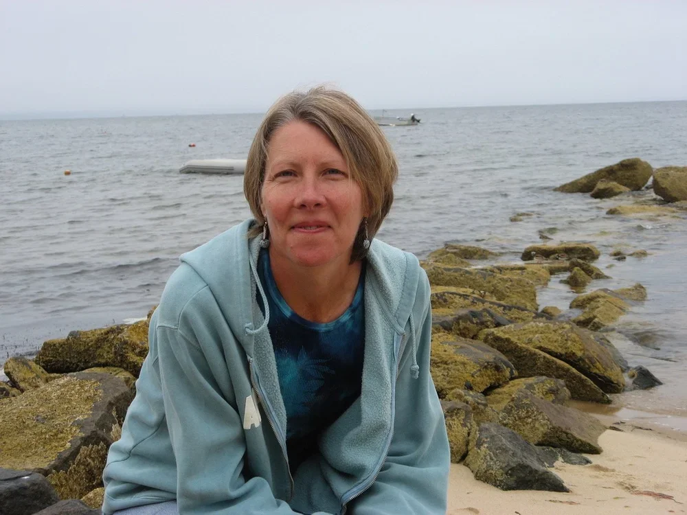 A woman sitting on rocks by the beach with water and a boat in the background.