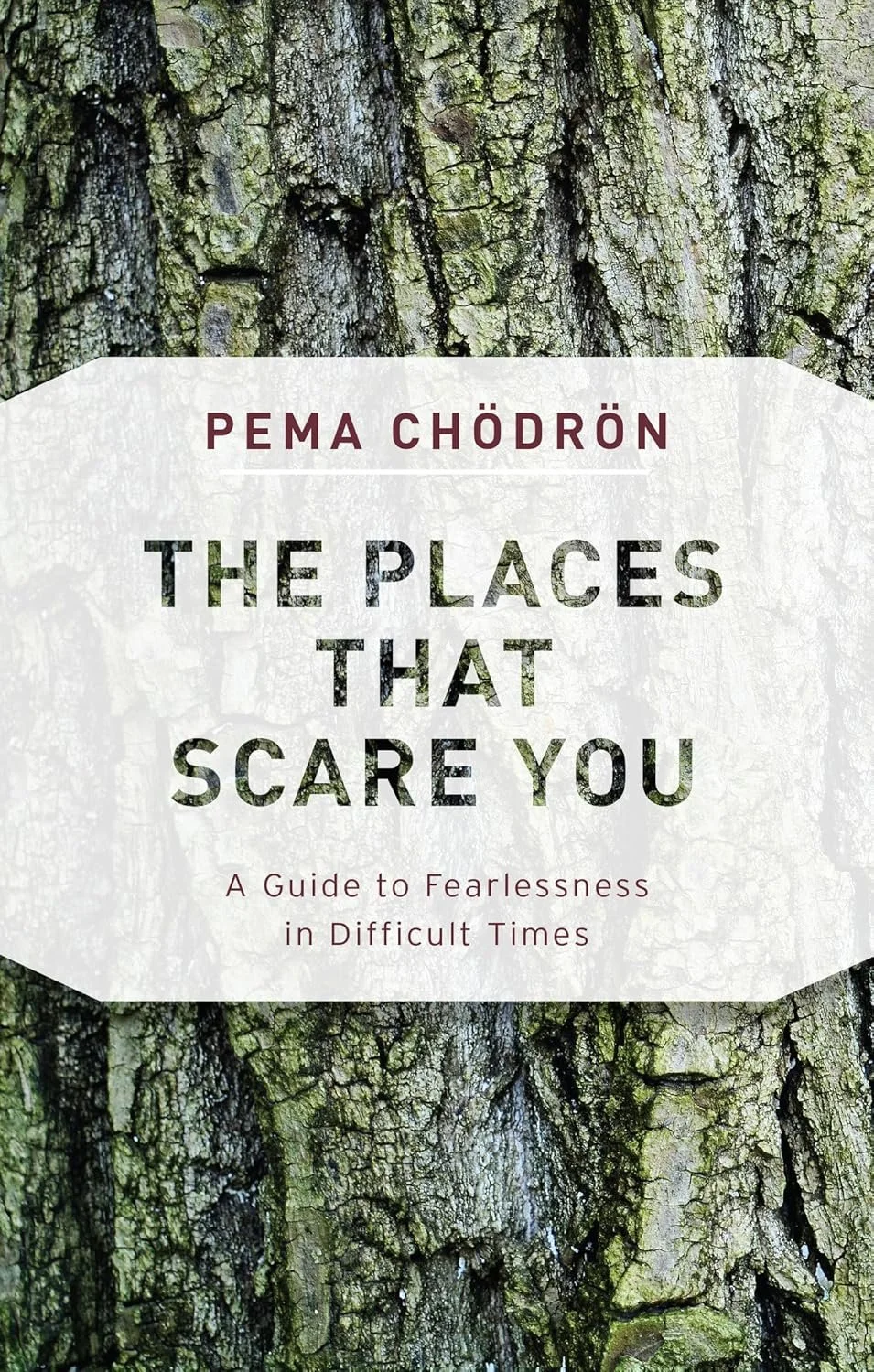 Book cover with a close-up image of tree bark. Title is "The Places That Scare You" by Pema Chödrön, with a subtitle "A Guide to Fearlessness in Difficult Times."
