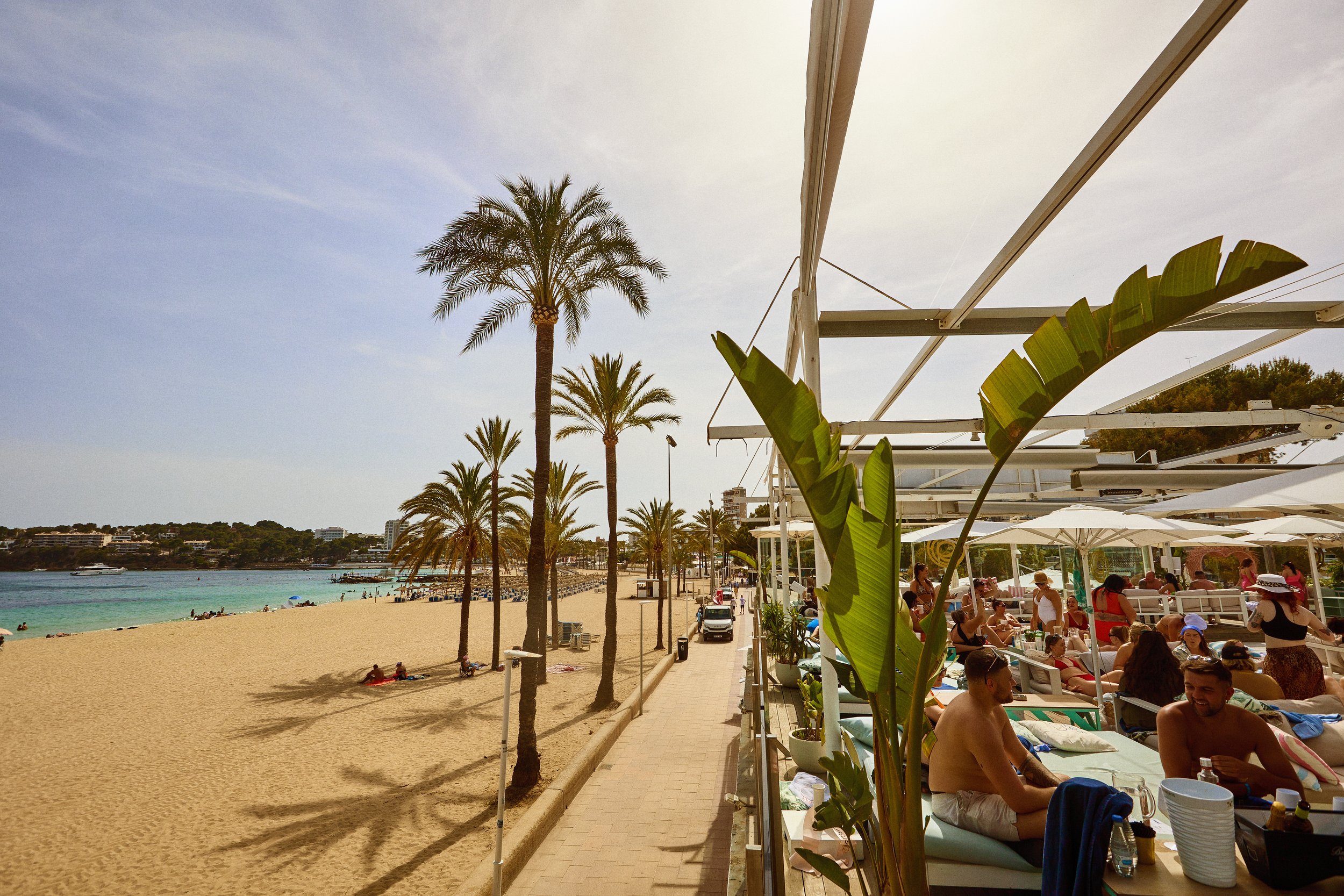 Beach scene with palm trees, umbrellas, and people relaxing on lounge chairs