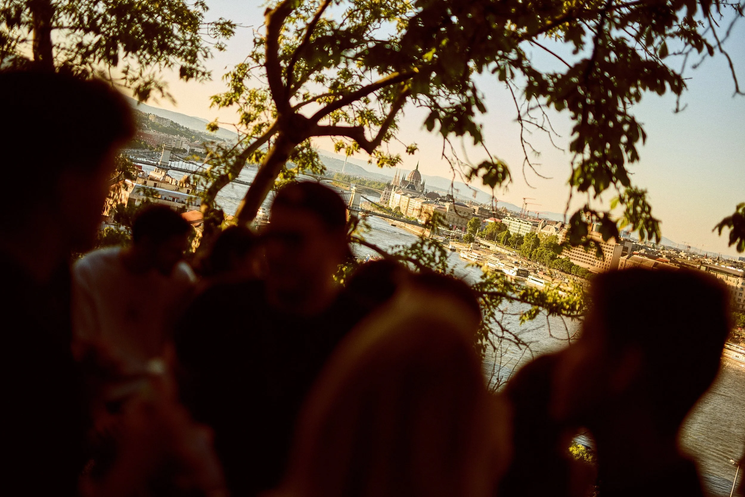 Group of people sitting under a tree overlooking a city skyline with a river and a historic building in the distance during sunset.
