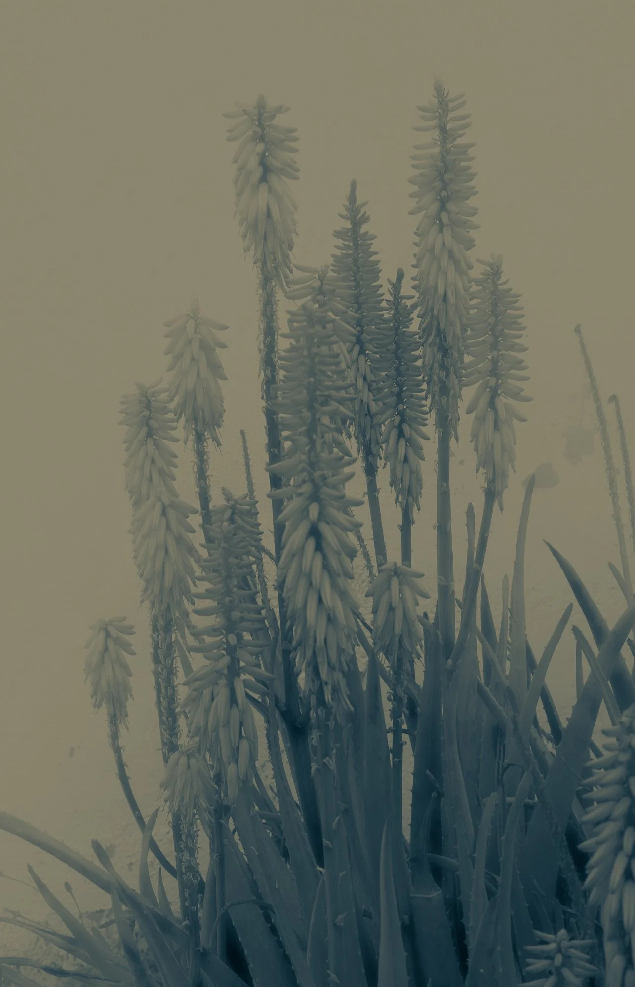 What remains