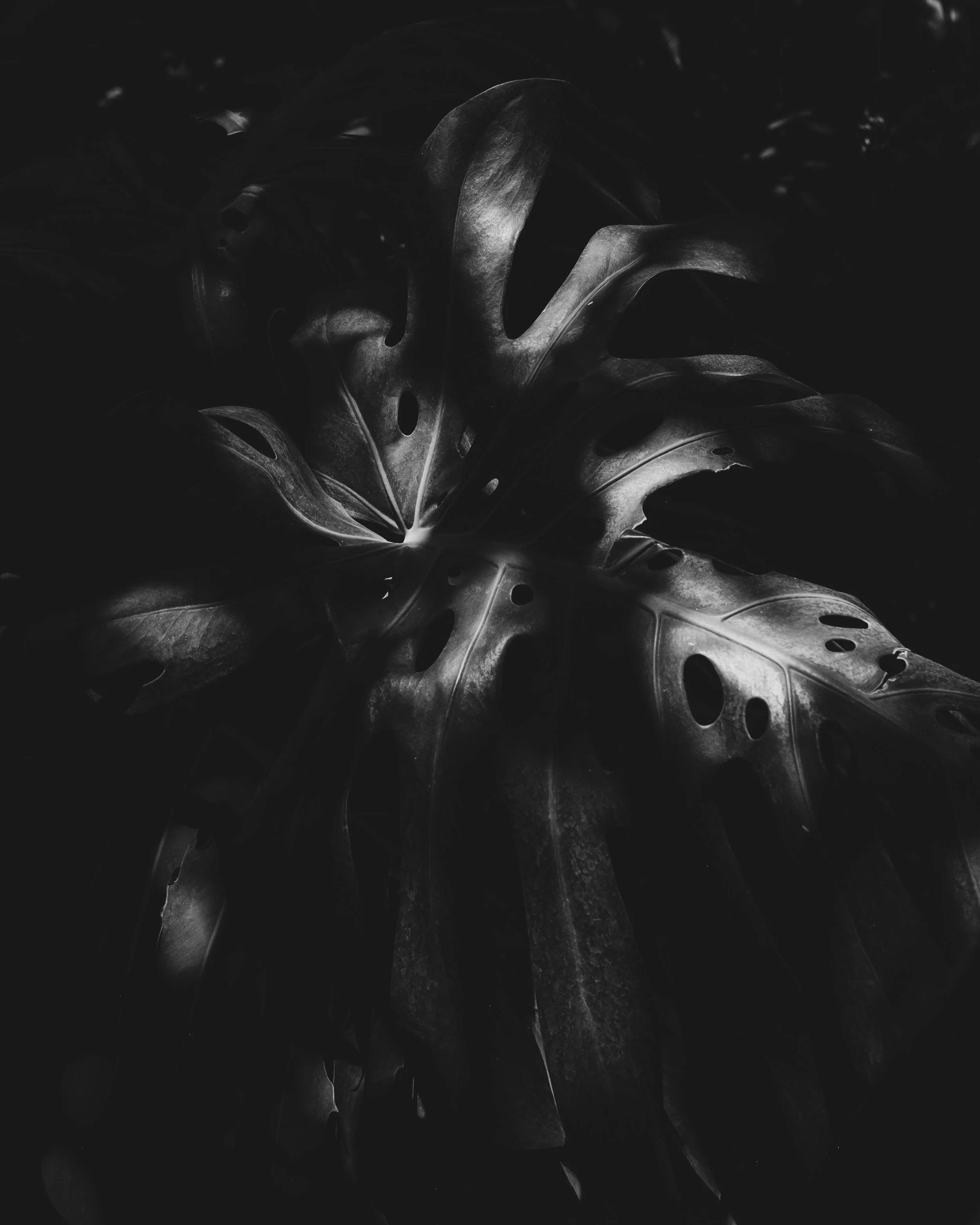 mysterious depth.jpg