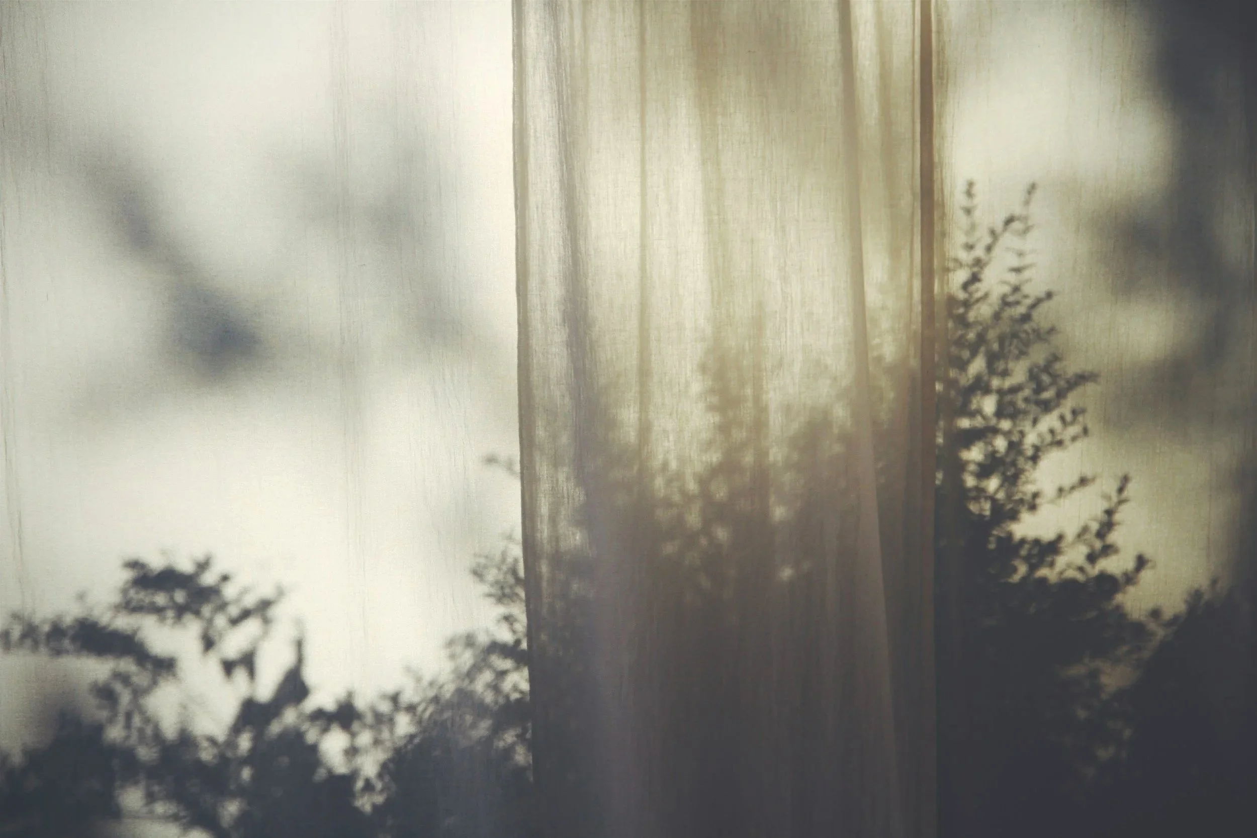 Curtains with shadows of plants