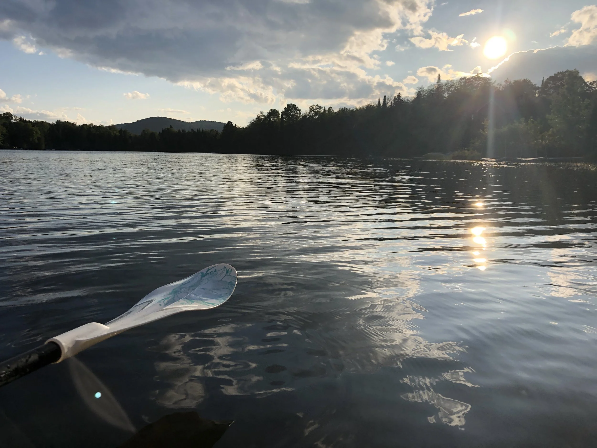 Kayaks.JPG