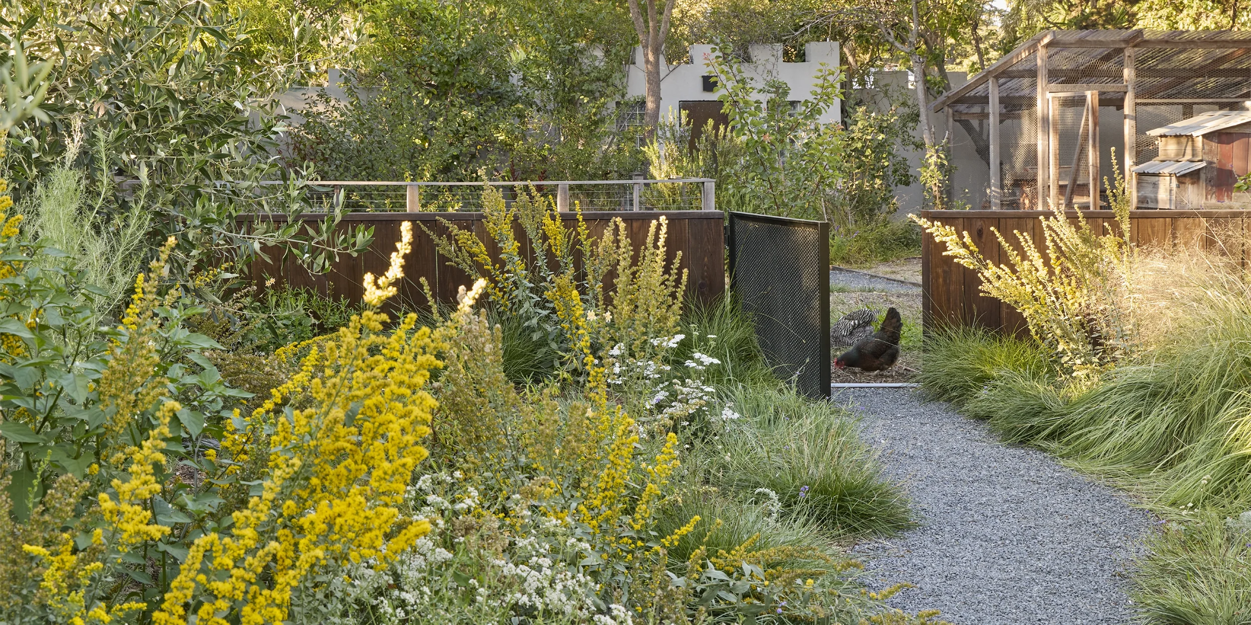 BayTree_CaitlinAtkinson_Valley2510-209_web-banner.webp