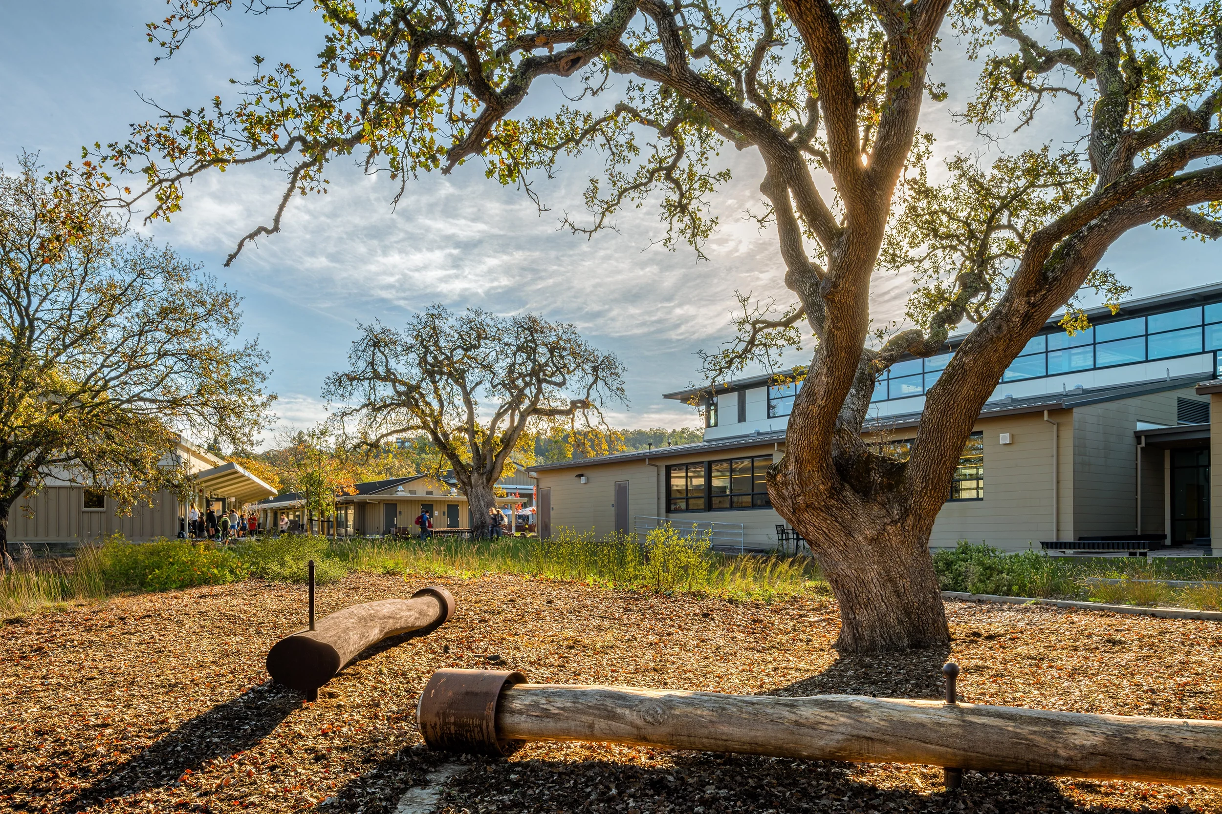 20231205_CorteMaderaSchool-733-Enhanced-NR-Edit_planting_web.webp