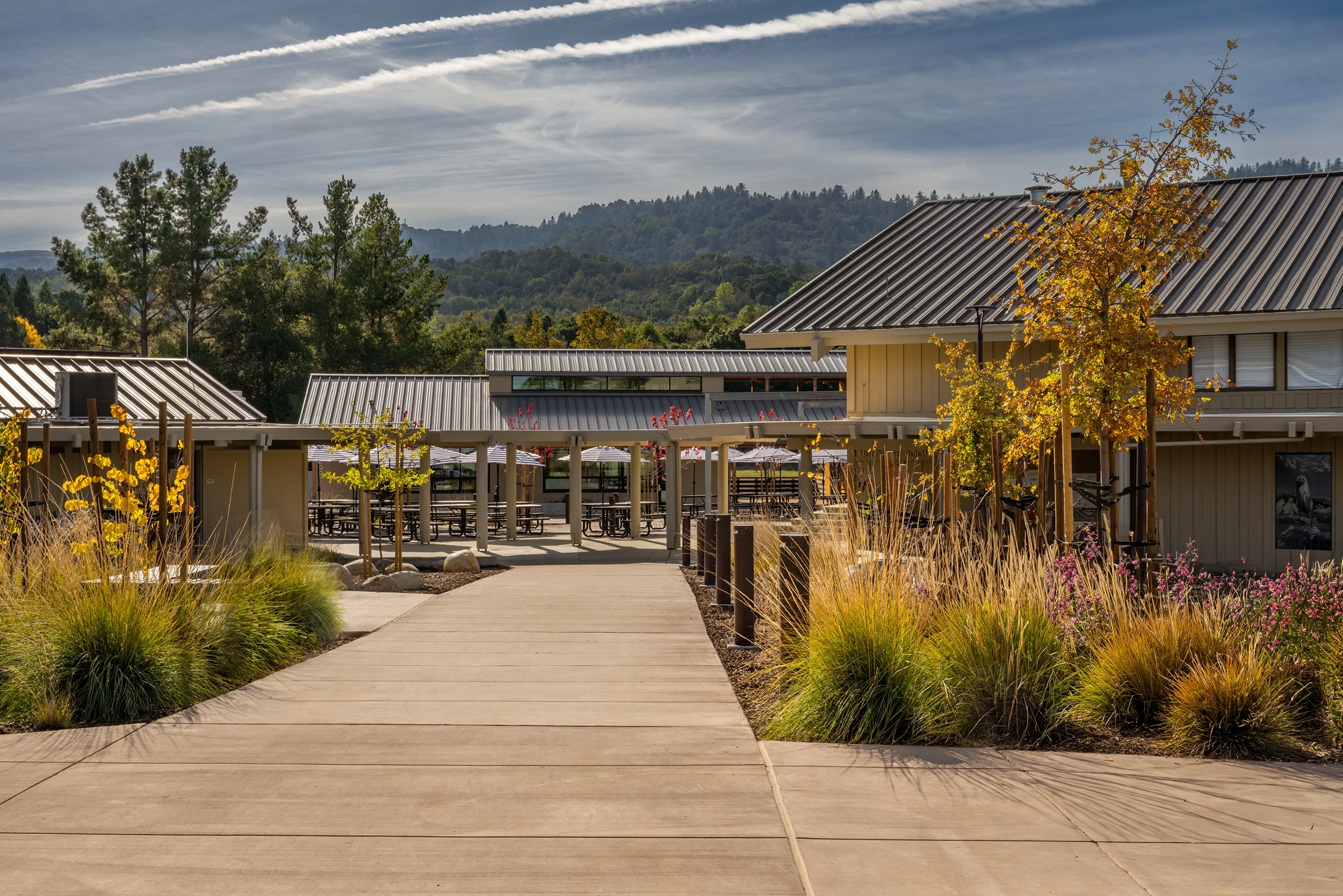 20231205_CorteMaderaSchool-926-Edit_merged_web.webp