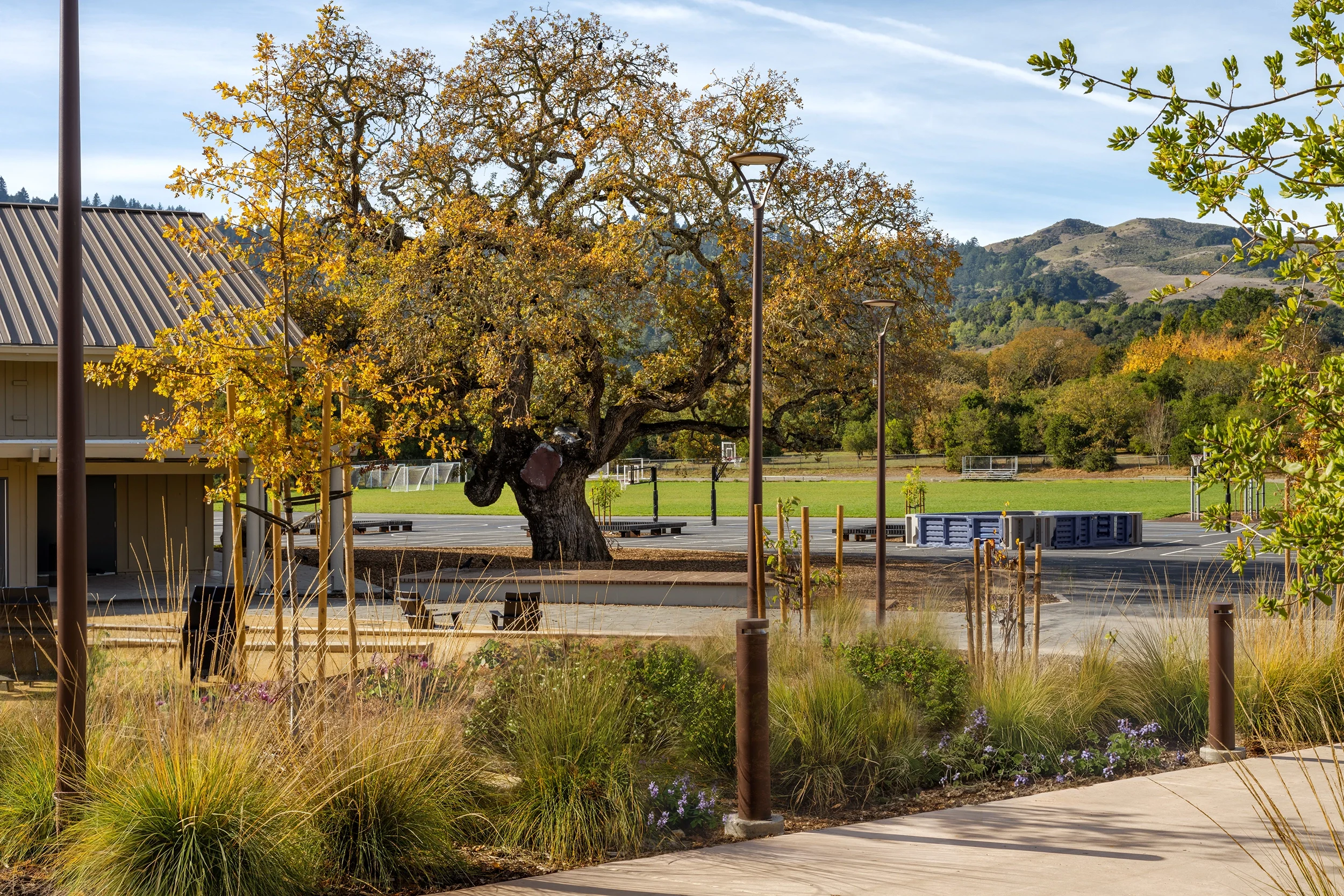 20250122_CorteMaderaSchool-952-Edit_web.webp