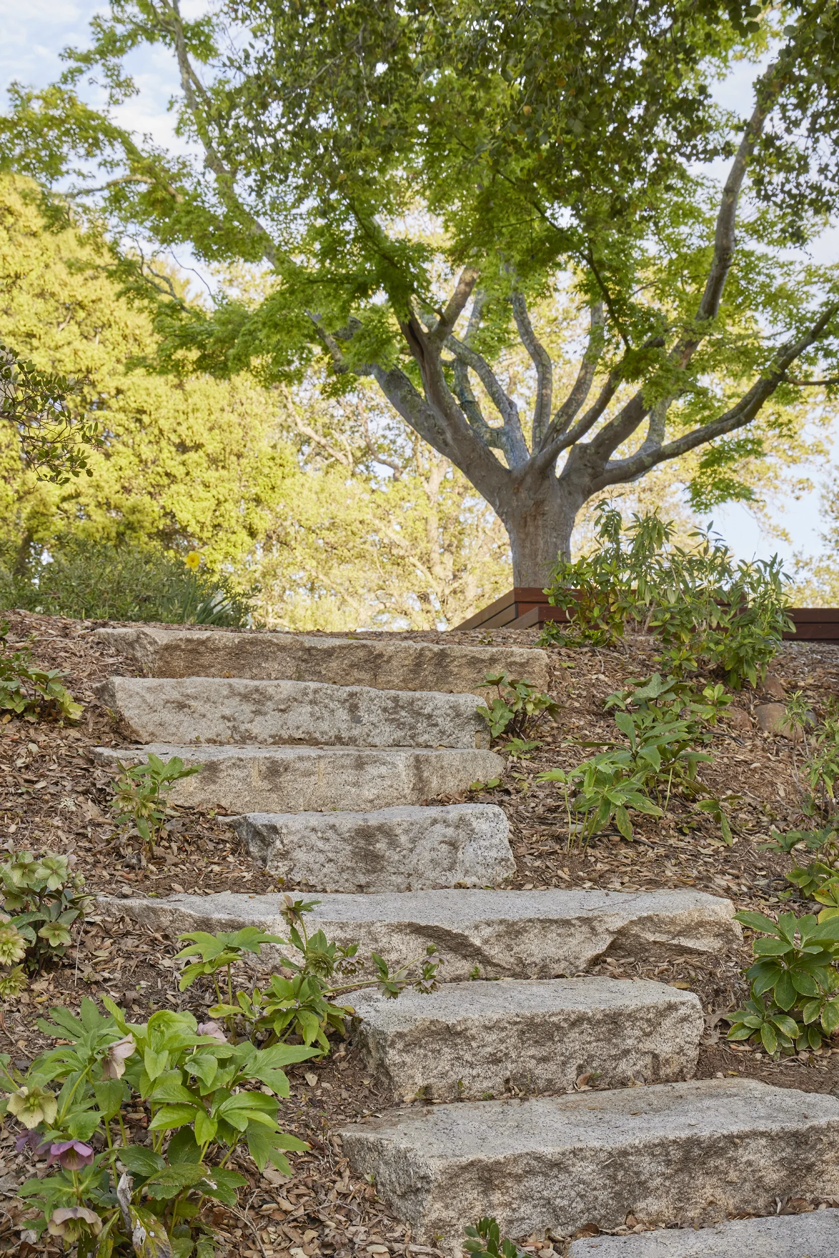 portolavalley2304-241_web.webp