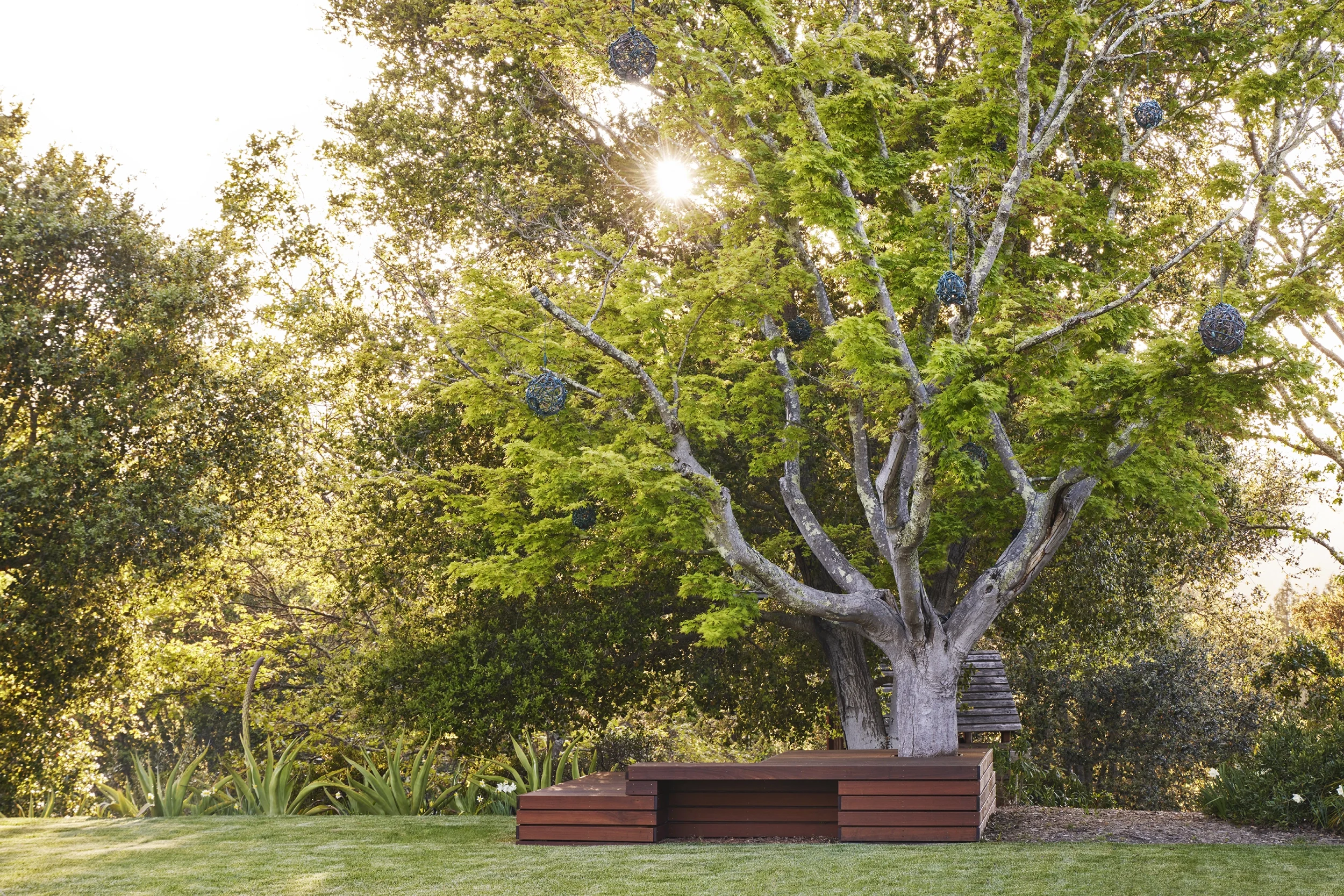 portolavalley2304-255__web.webp