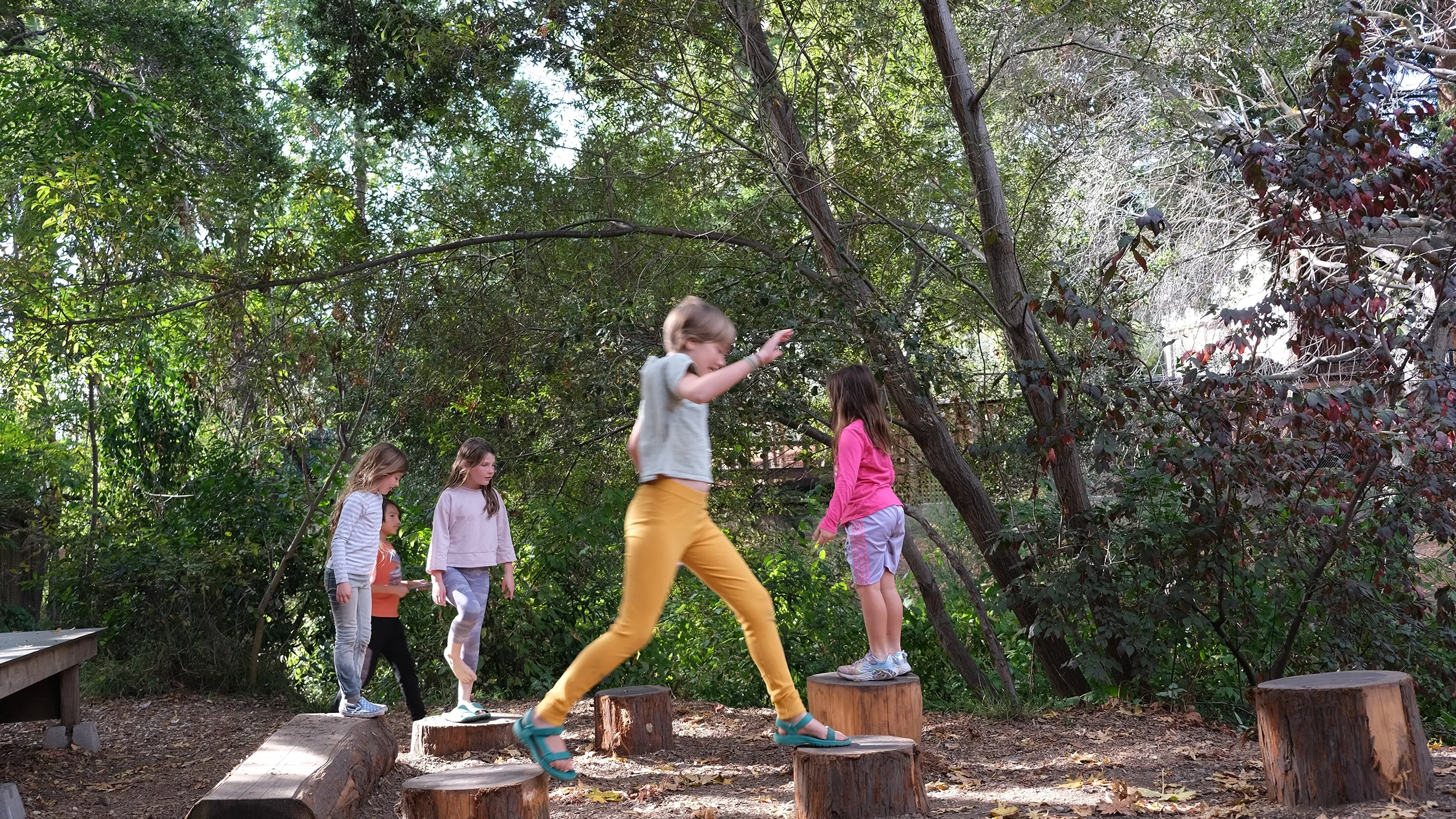 BTD_BUSD_John Muir1_web.webp