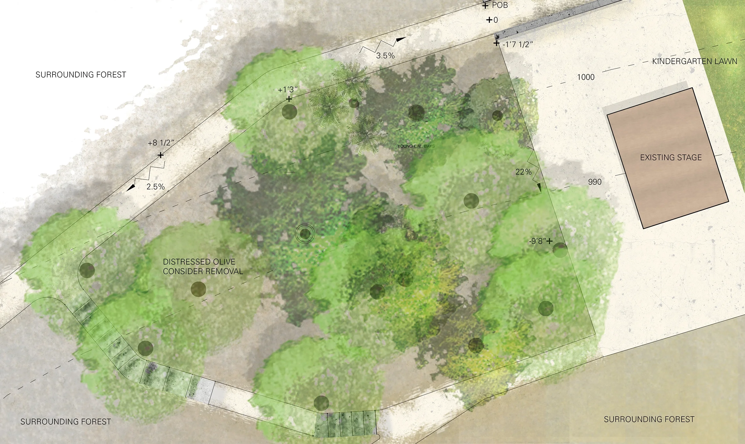 TNS_Memorial_Place_concept_web.webp
