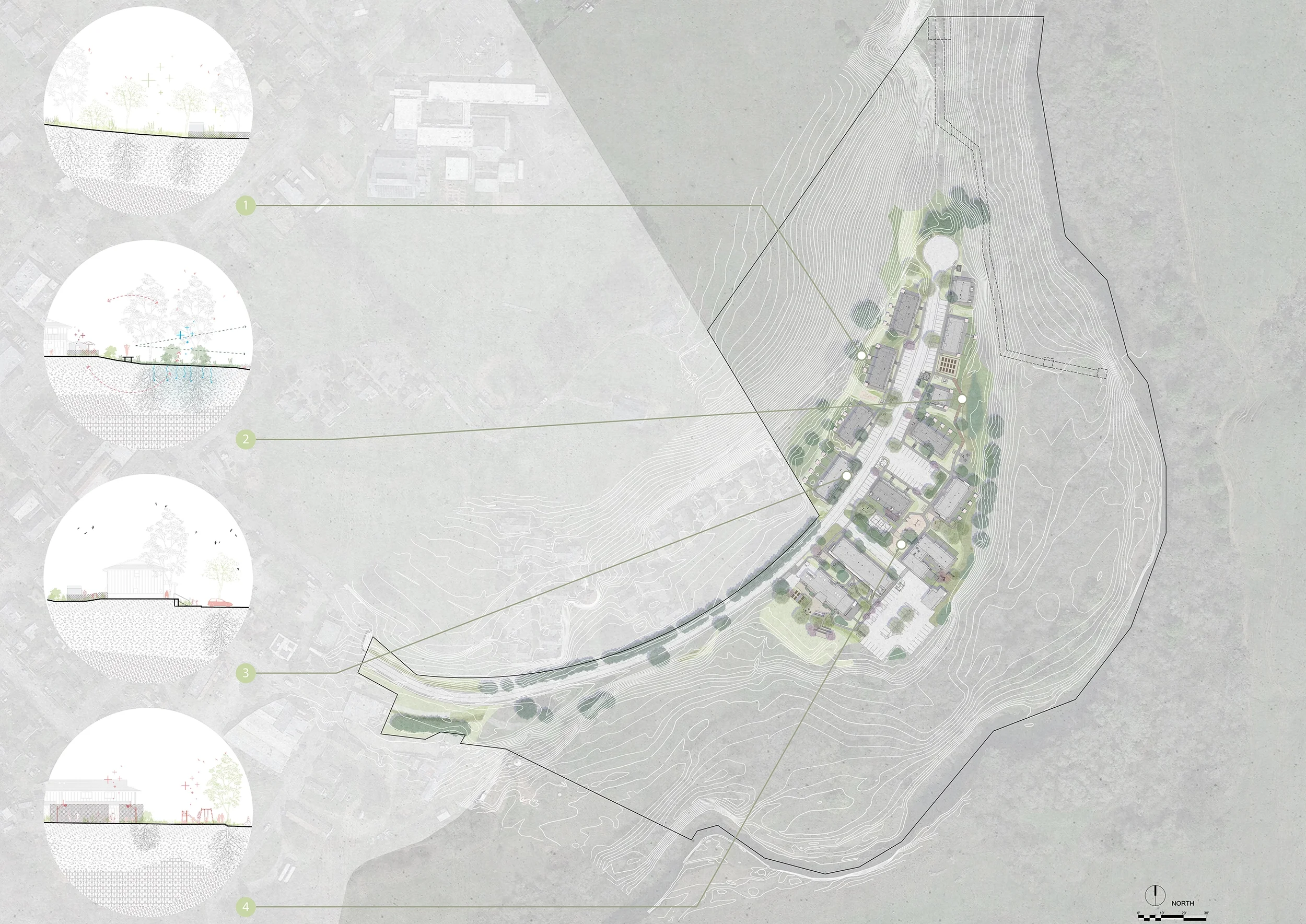 204_BASE_PLAN_V4_crop_web.webp