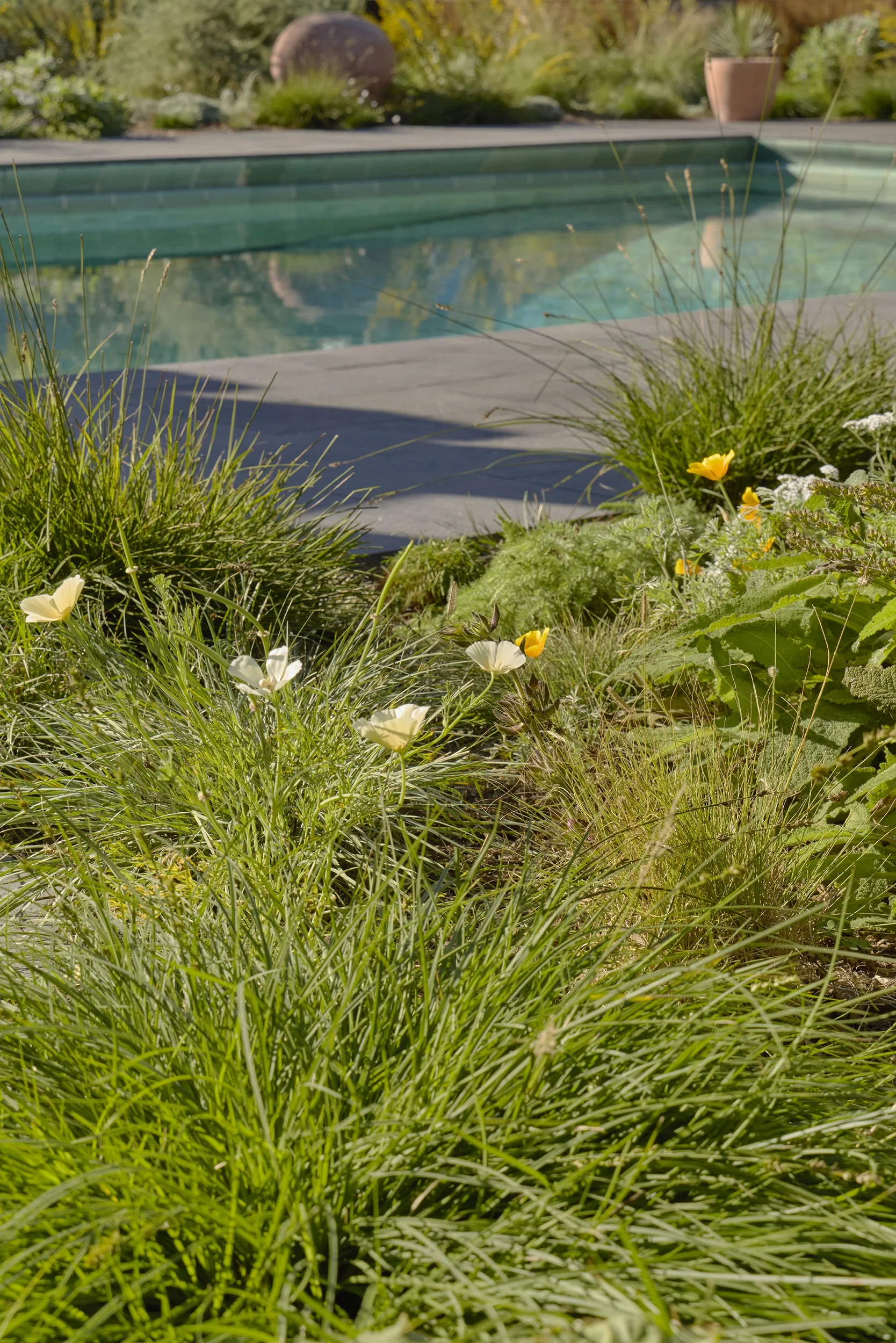 BayTree_CaitlinAtkinson_Valley2510-036_web.webp