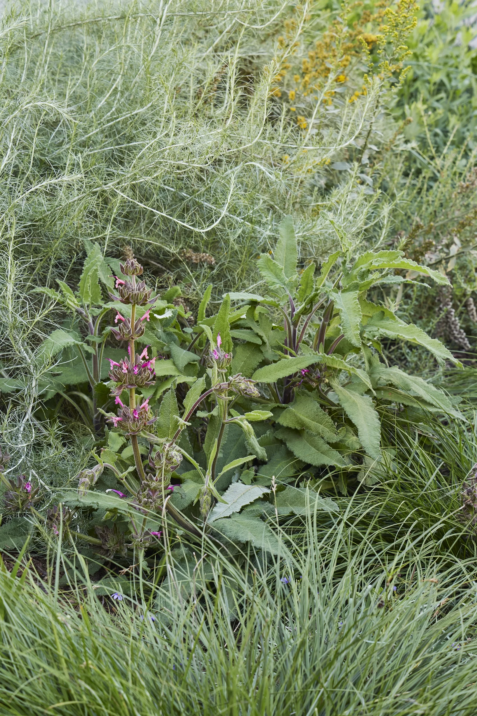 BayTree_CaitlinAtkinson_Valley2510-038_web.webp