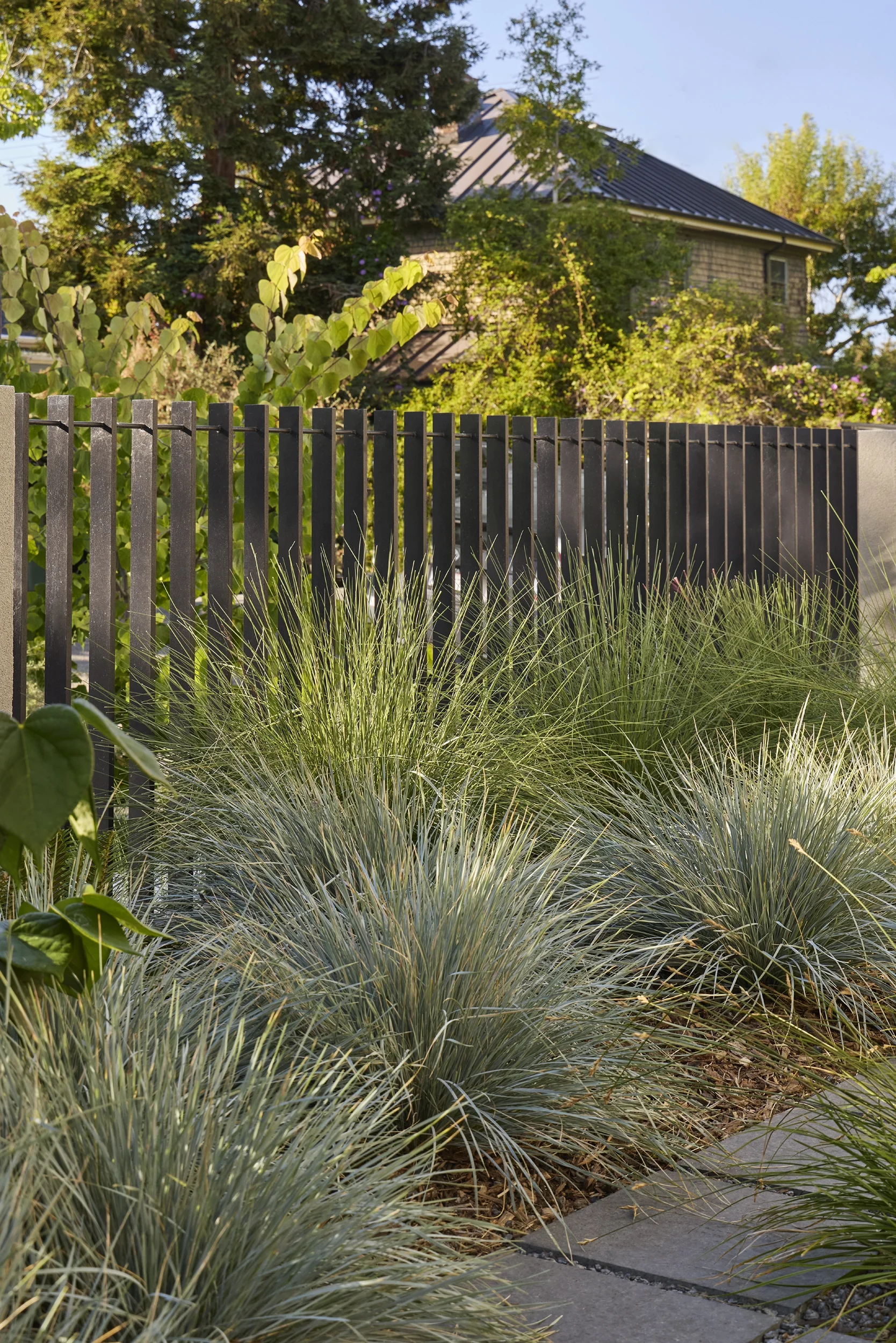 BayTree_CaitlinAtkinson_Valley2510-056_web.webp