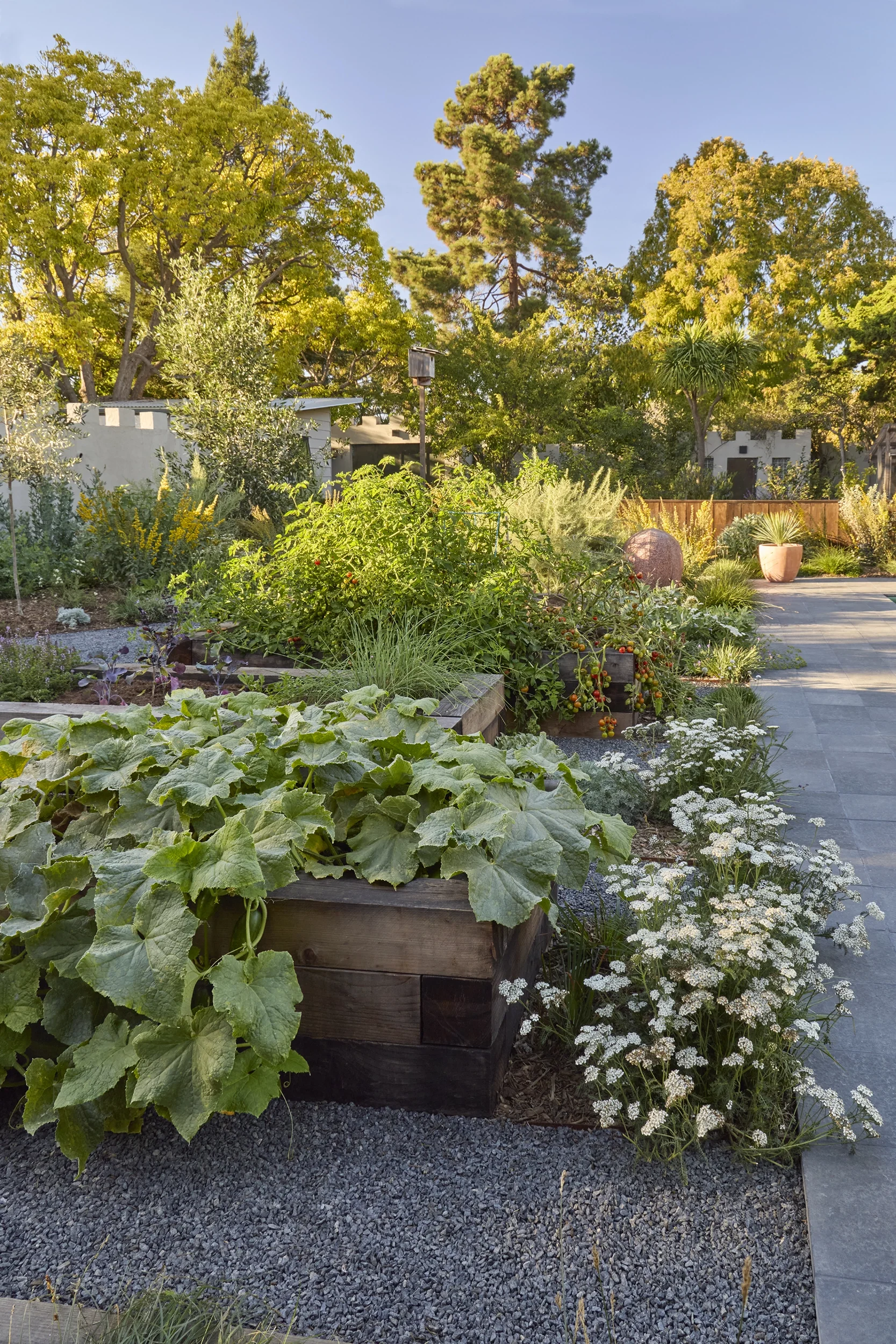 BayTree_CaitlinAtkinson_Valley2510-161_web.webp