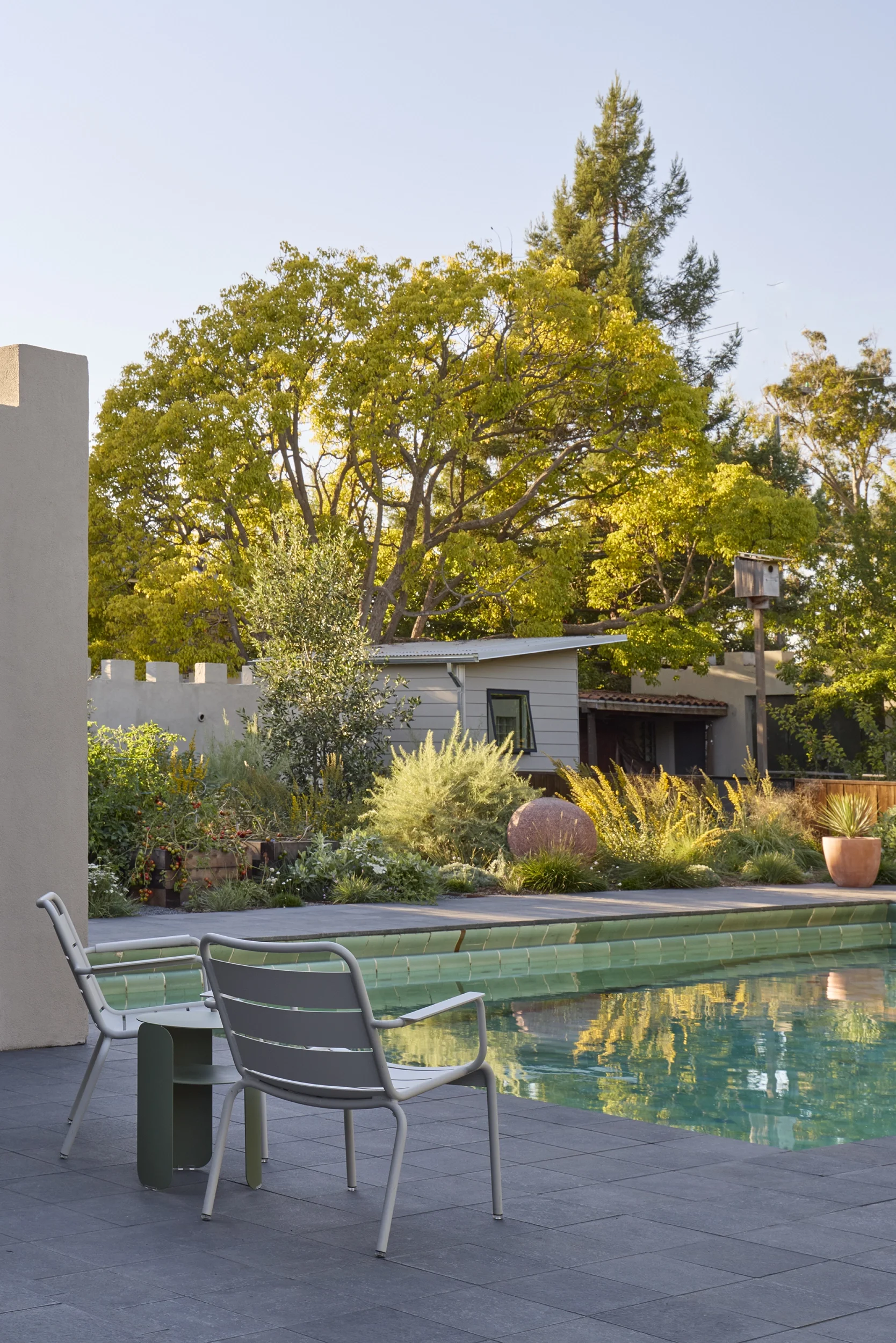 BayTree_CaitlinAtkinson_Valley2510-200_web.webp
