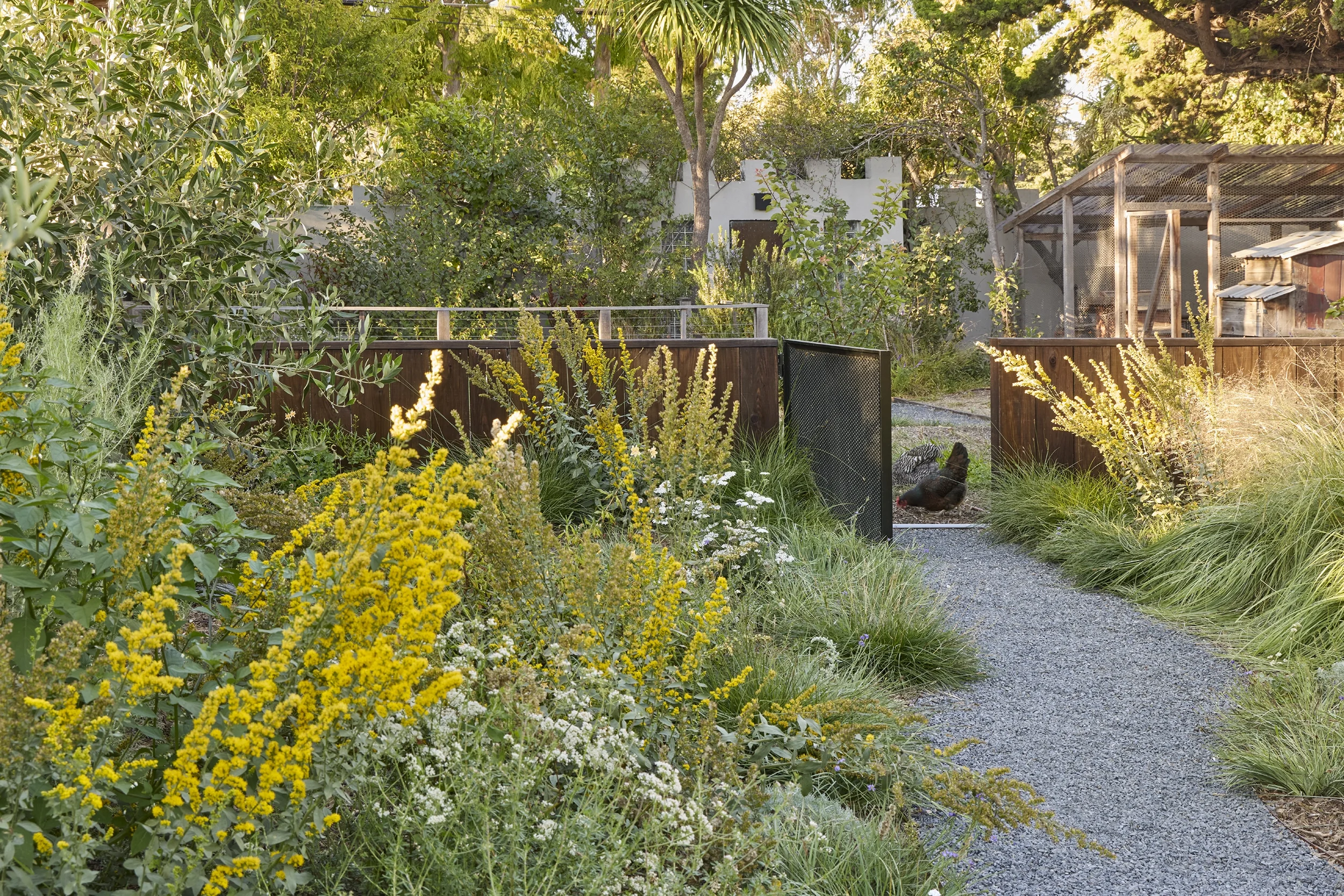 BayTree_CaitlinAtkinson_Valley2510-209_web.webp