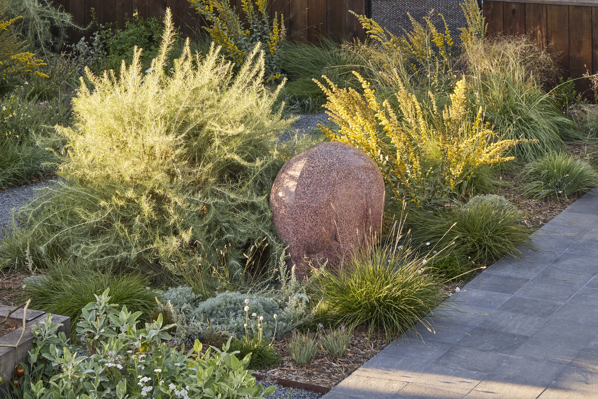 BayTree_CaitlinAtkinson_Valley2510-237_web.webp