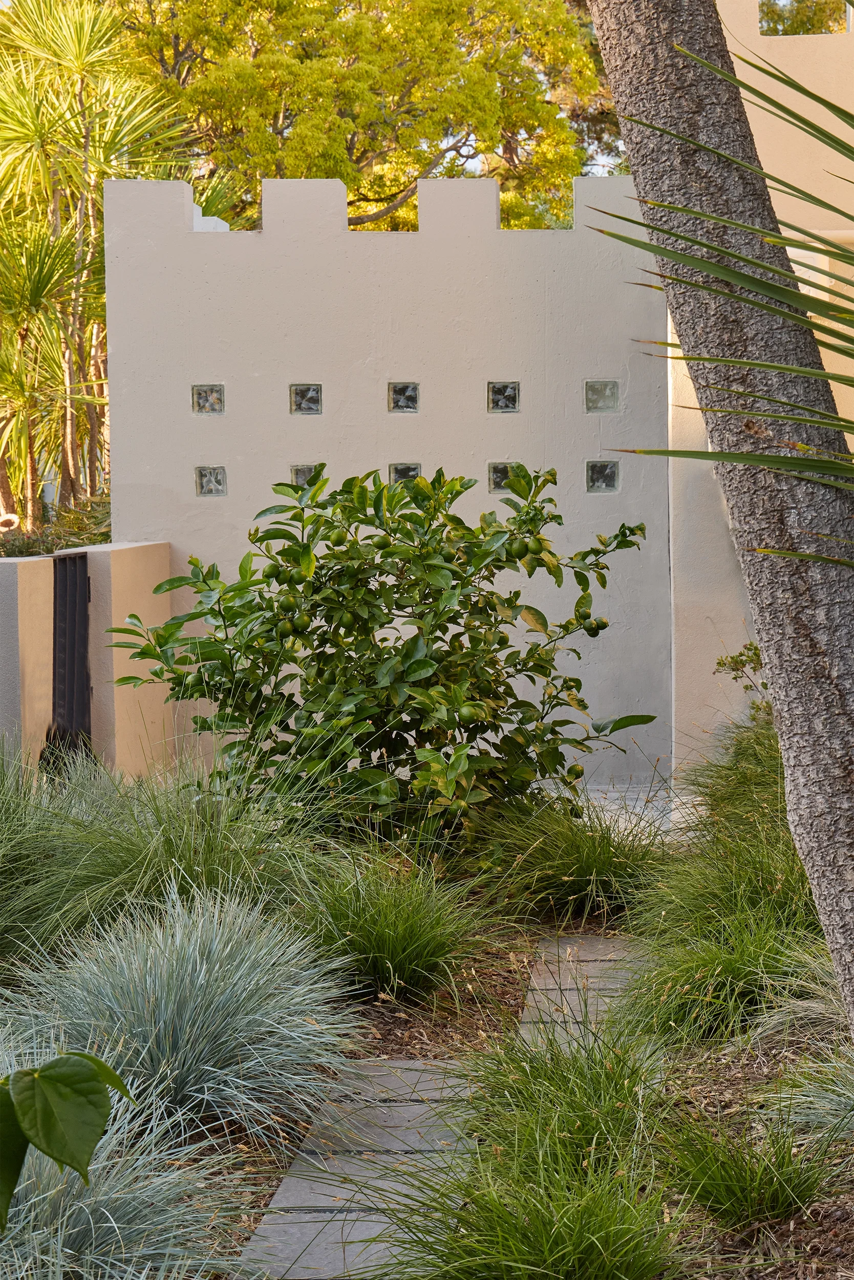 BayTree_CaitlinAtkinson_Valley2510-318_web.webp