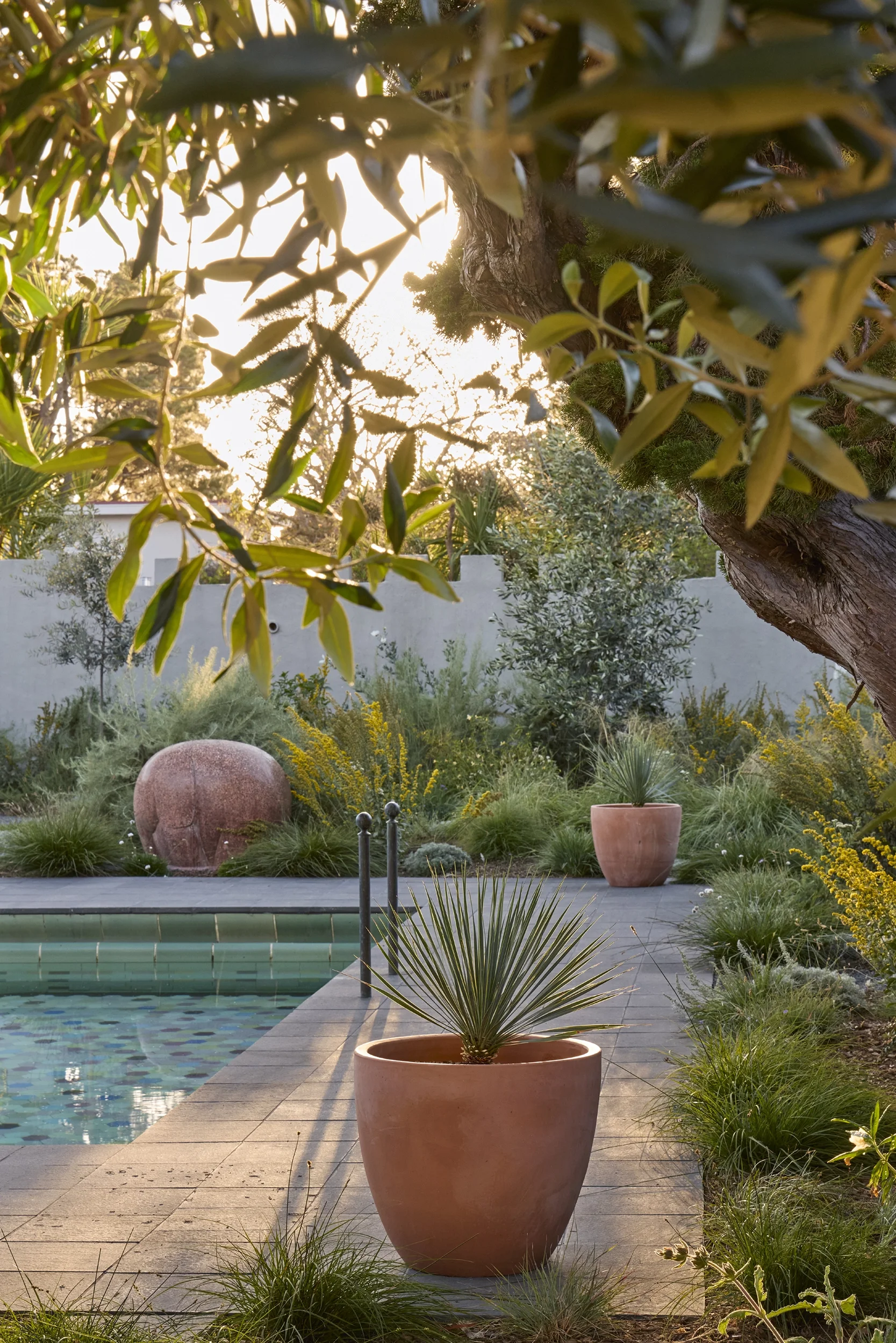 BayTree_CaitlinAtkinson_Valley2510-324_web.webp