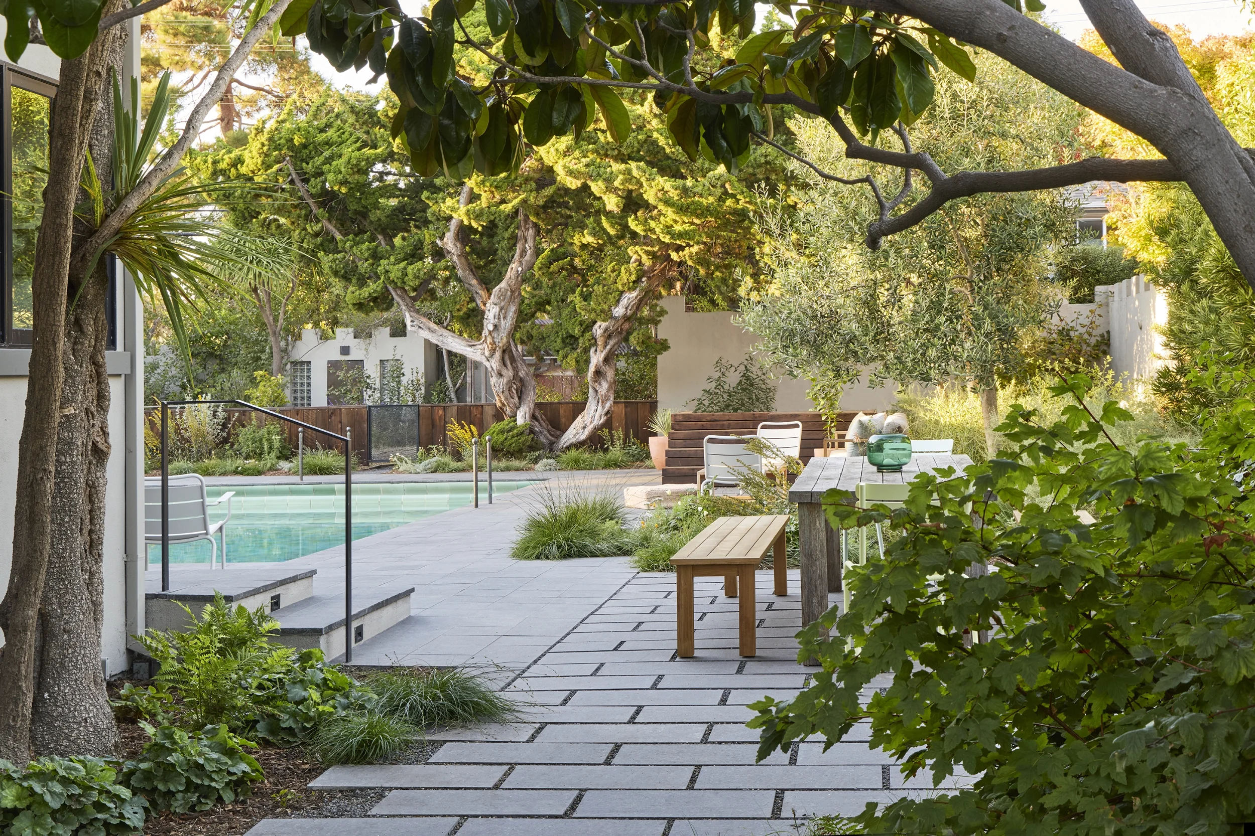 BayTree_CaitlinAtkinson_Valley2510-330_web.webp