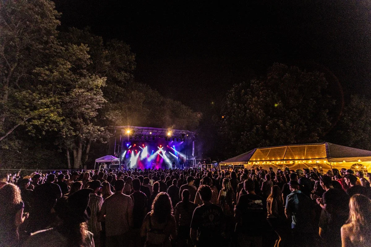 Crowd watching a live outdoor concert at night with colorful stage lights and trees in the background.