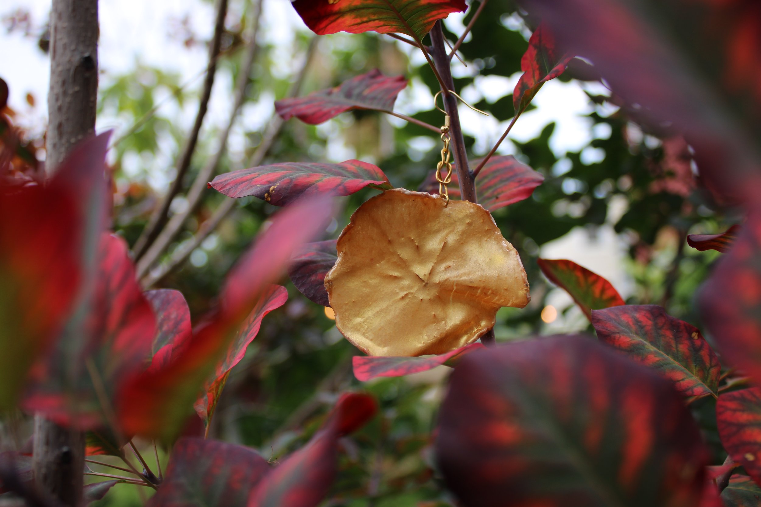 Golden Apple Slice