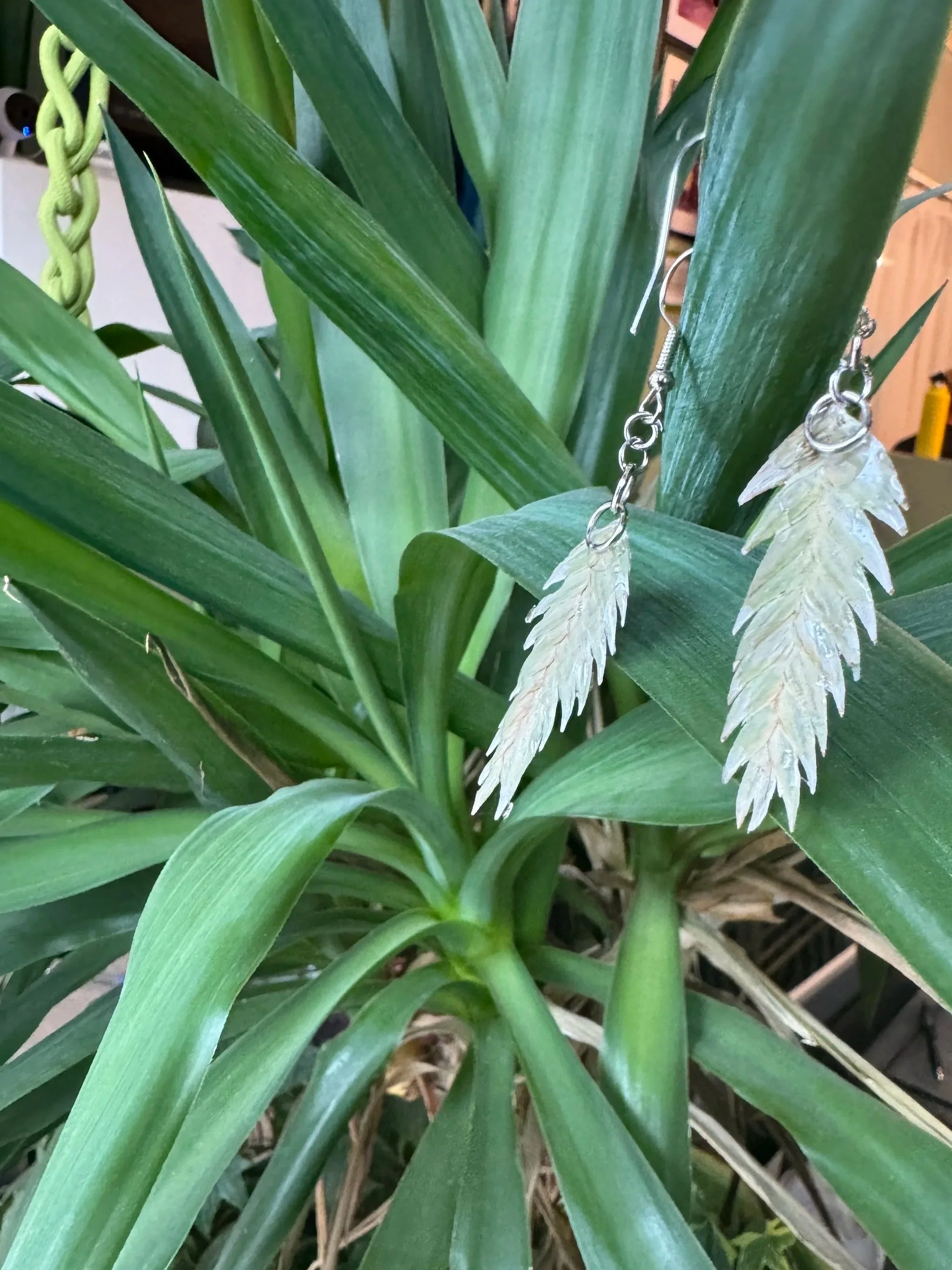 Wood Oat