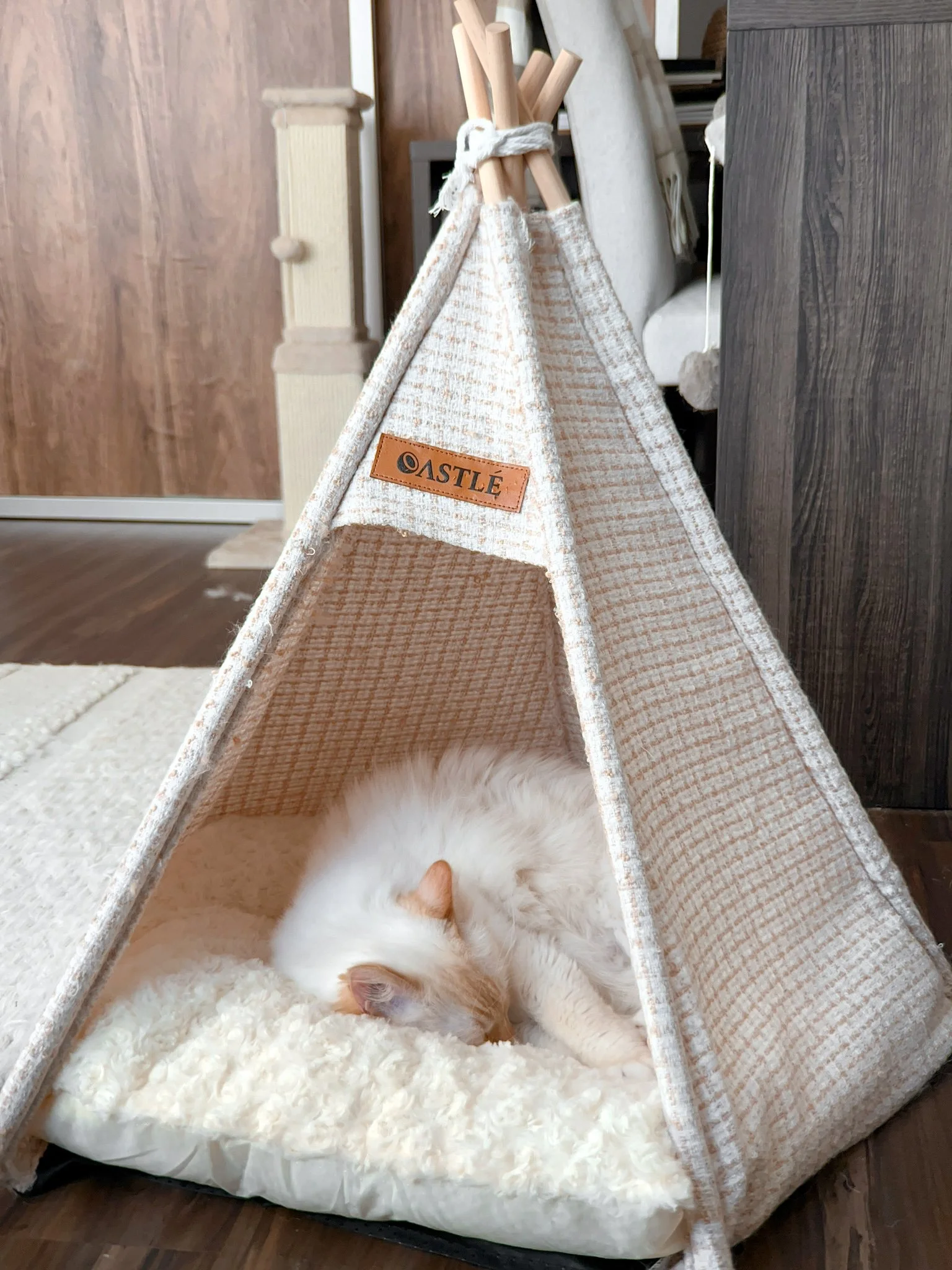 2023-10-19 15-13-17.jpeg